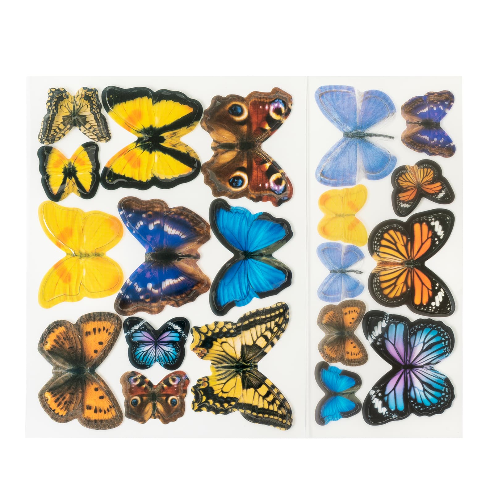 Butterflies Acetate Pieces by Craft Smart&#xAE;