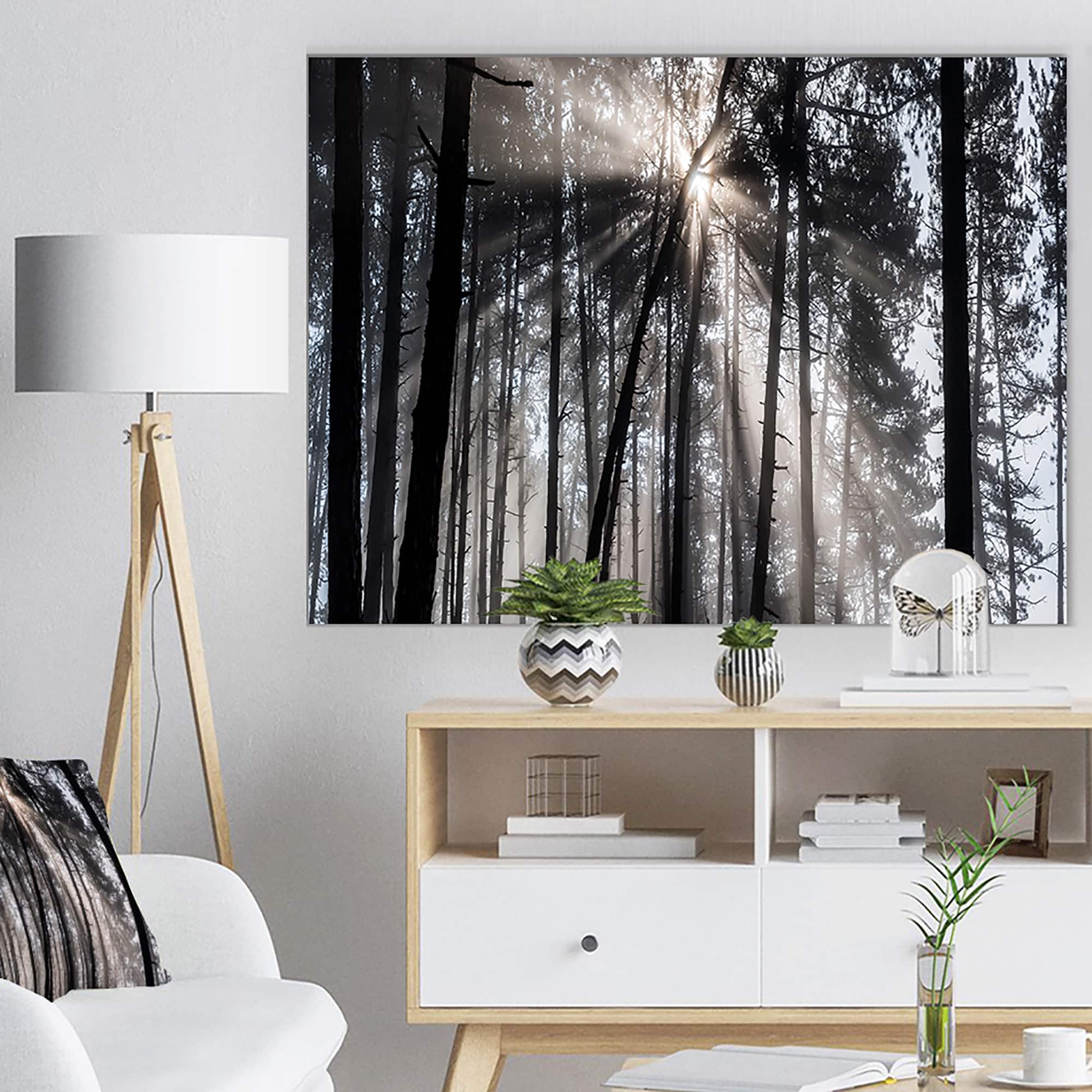 Designart - Sunbeams through Black White Forest - Forest Canvas Wall Art Print