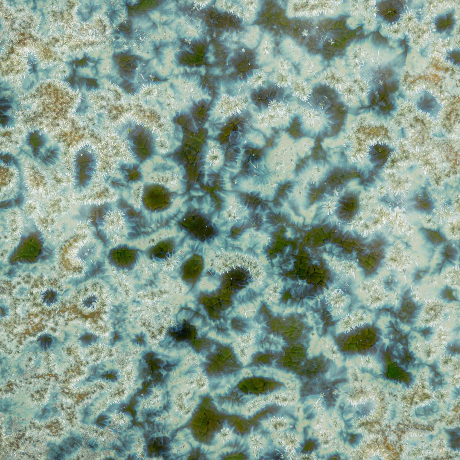 Hello Honey® 14.75" Green Stoneware Platters with Reactive Crackle Glaze, 6ct.