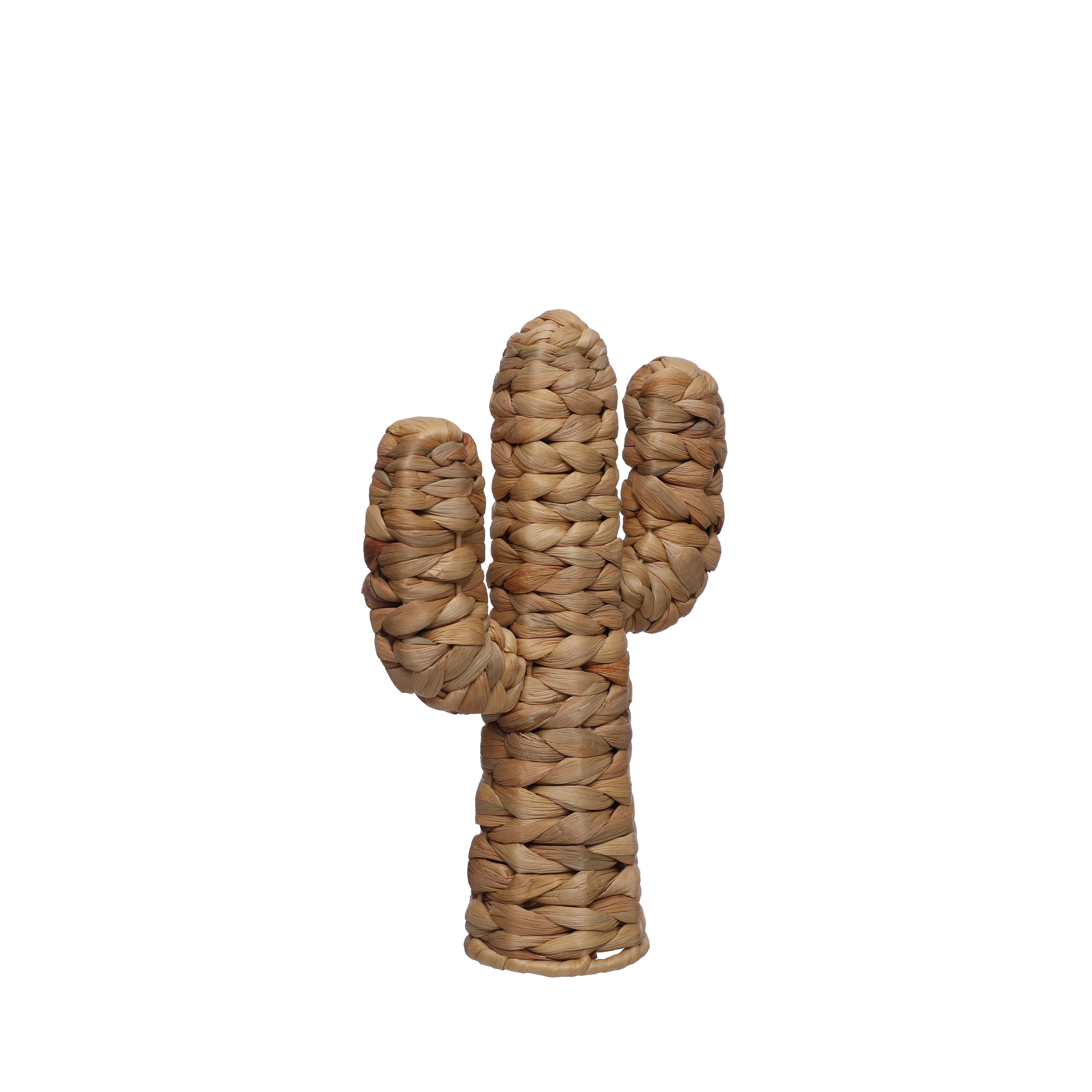 11.75&#x22; Water Hyacinth Cactus Tabletop D&#xE9;cor by Ashland&#xAE;
