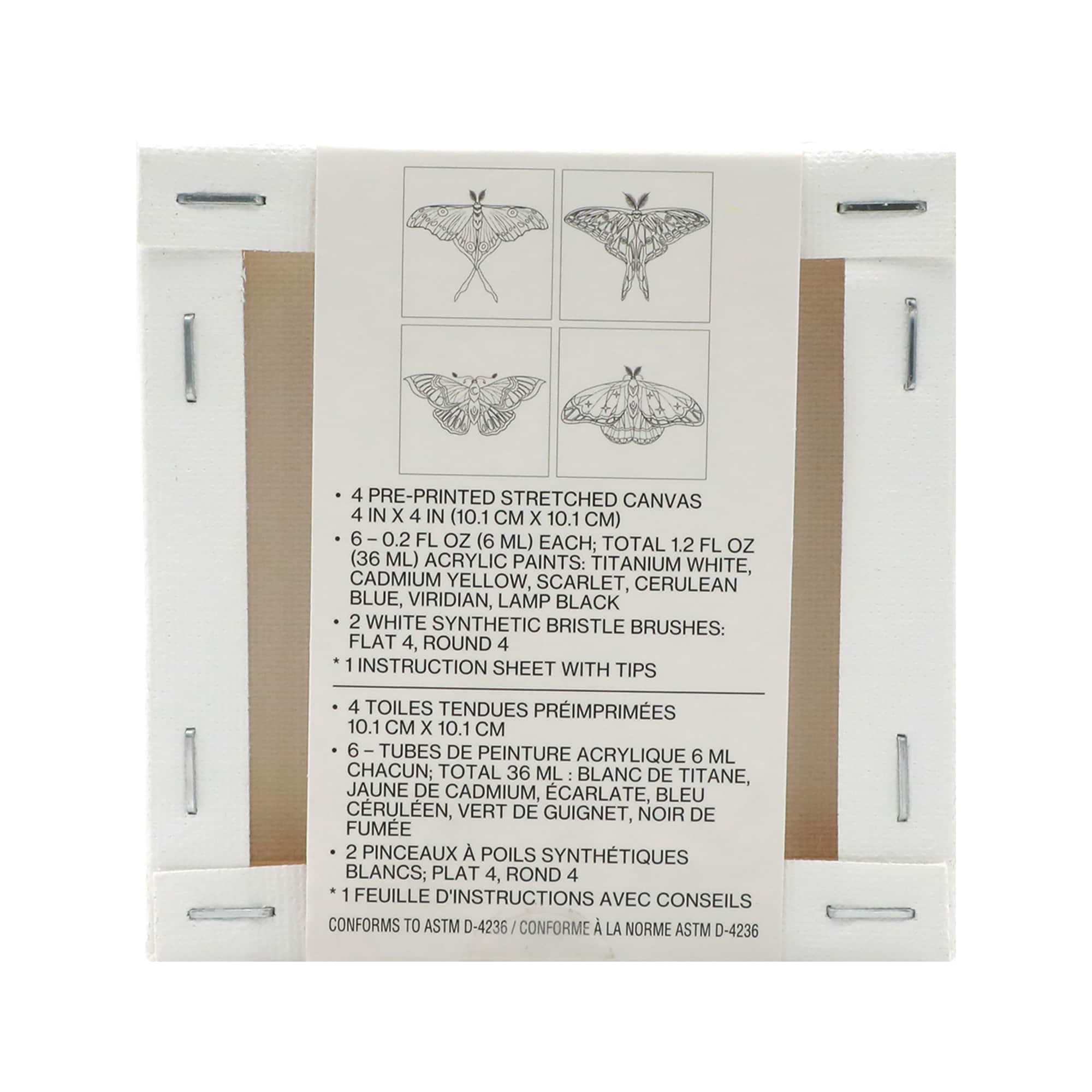 4&#x22; x 4&#x22; Moths Canvas Painting Kit by Craft Smart&#xAE;