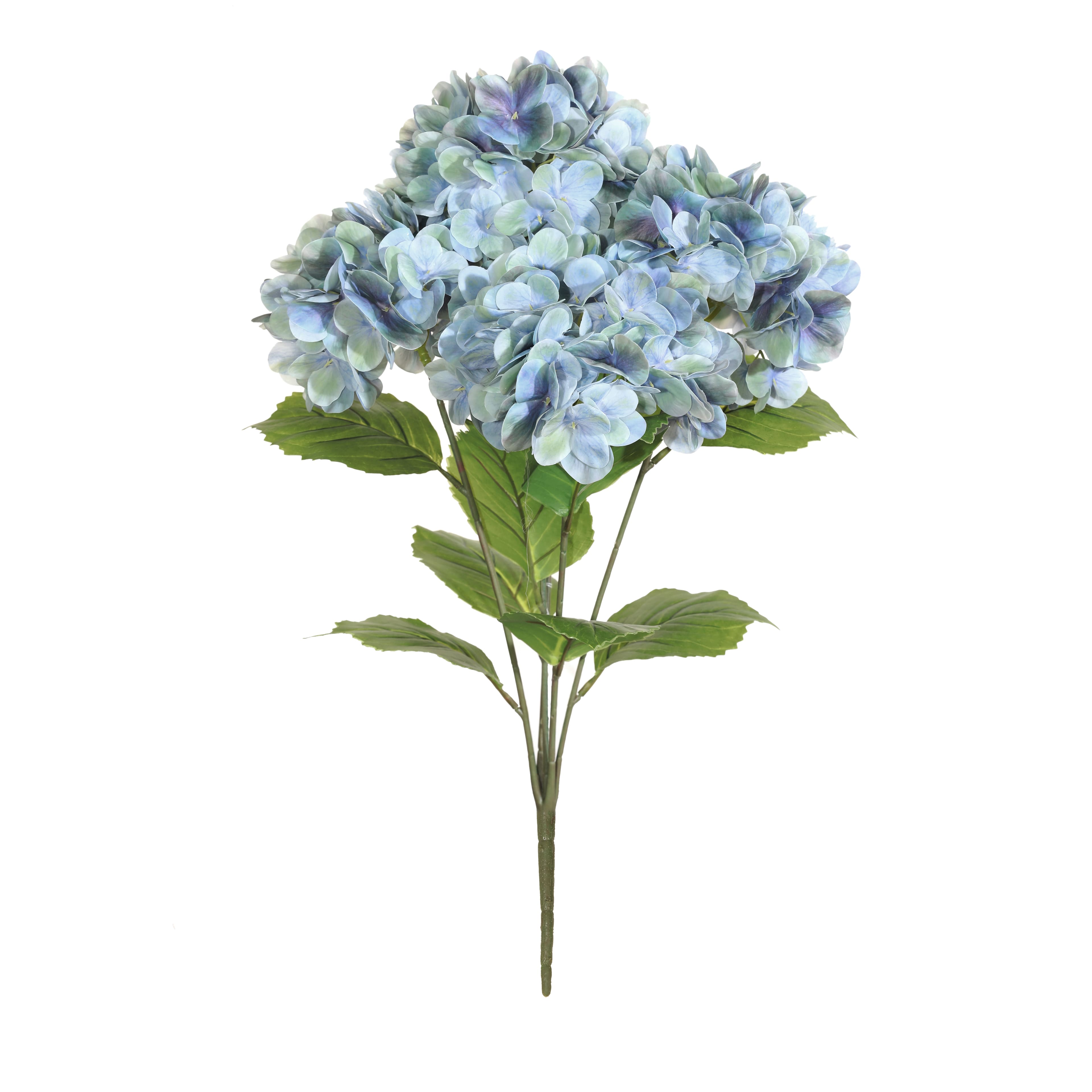 23&#x22; Green &#x26; Blue Hydrangea Bush by Ashland&#xAE;