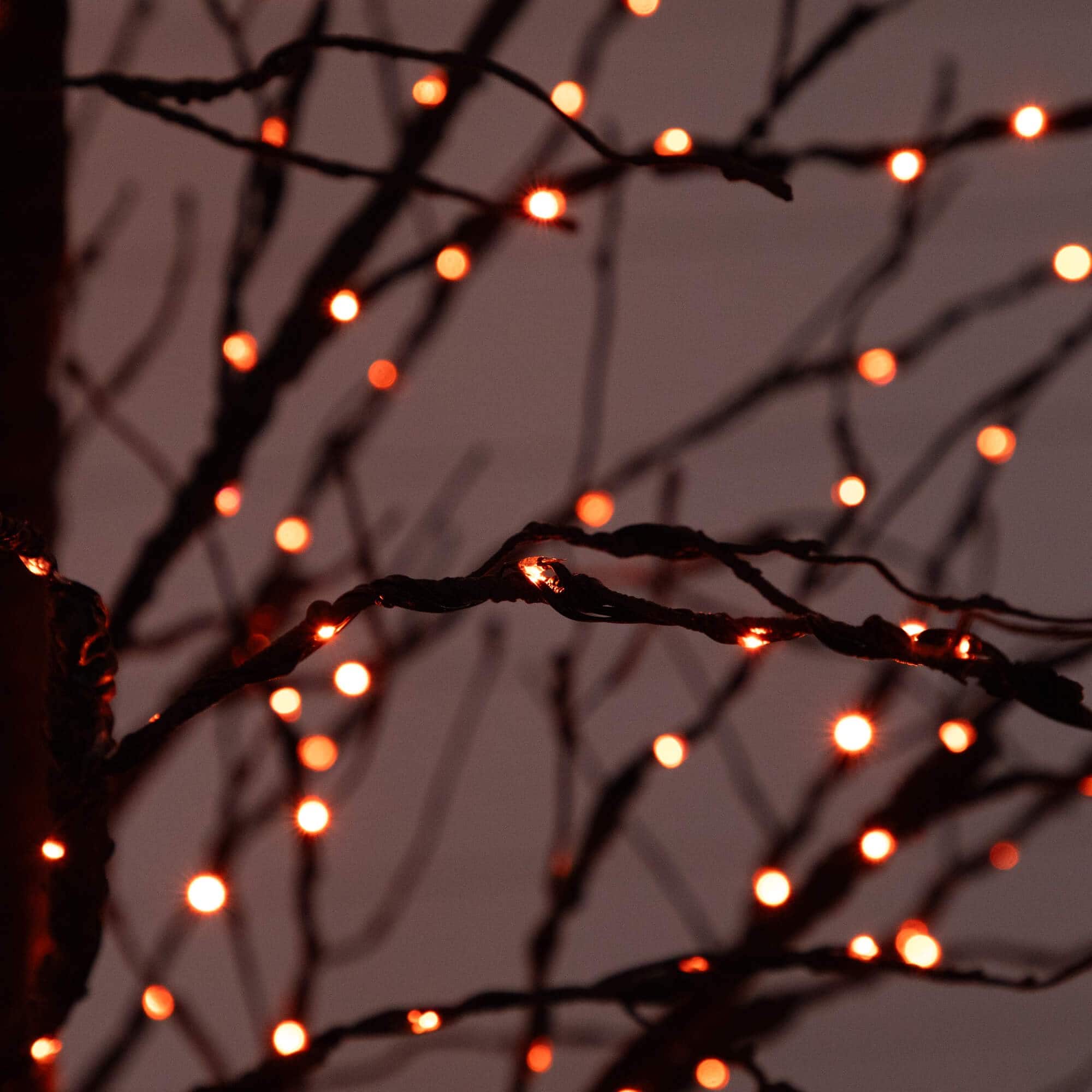 8ft. Pre-Lit Halloween Black Twig Artificial Tree with 510 Orange &#x26; Purple LED Lights
