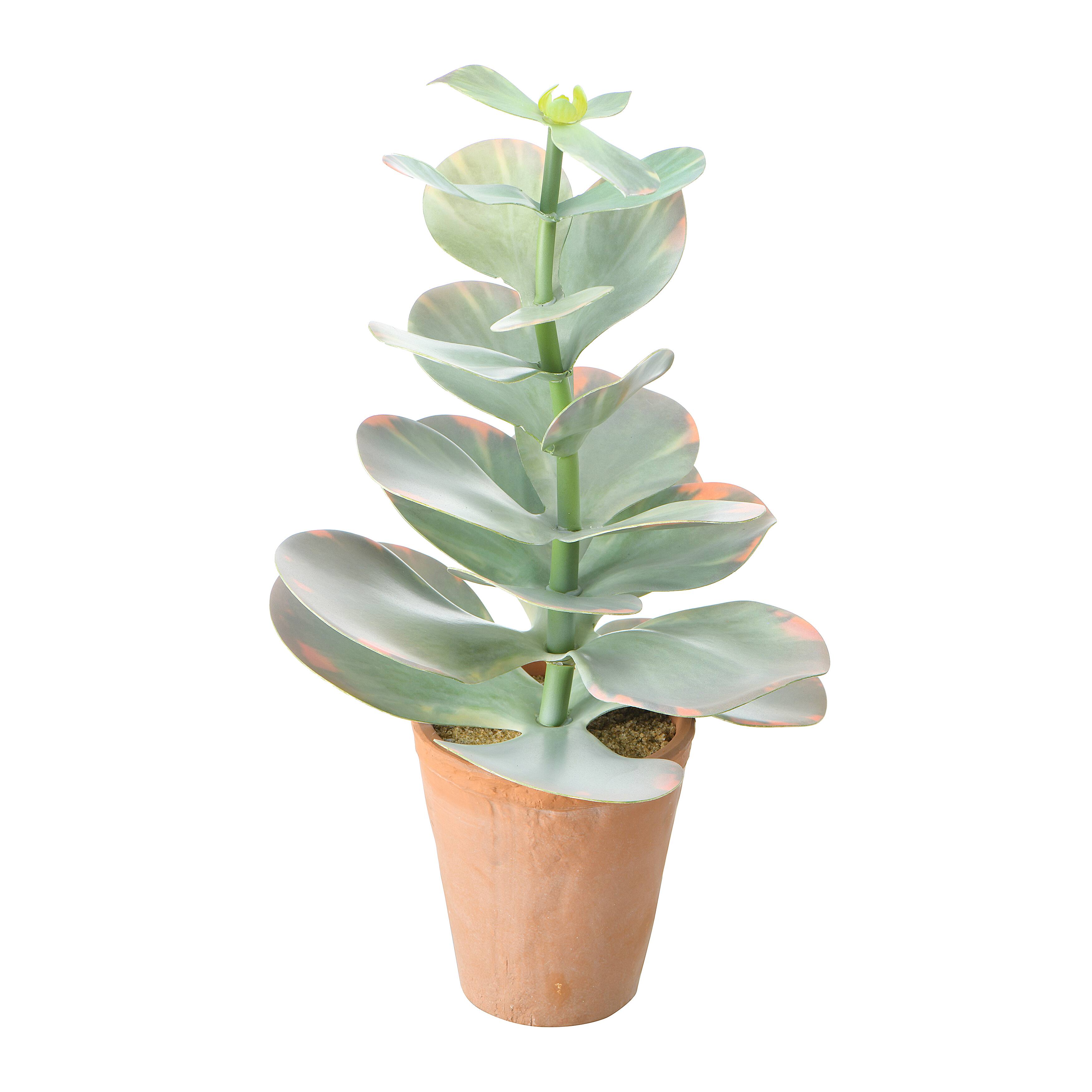 Hello Honey® 18" Faux Succulent in Terra Cotta Colored Pot