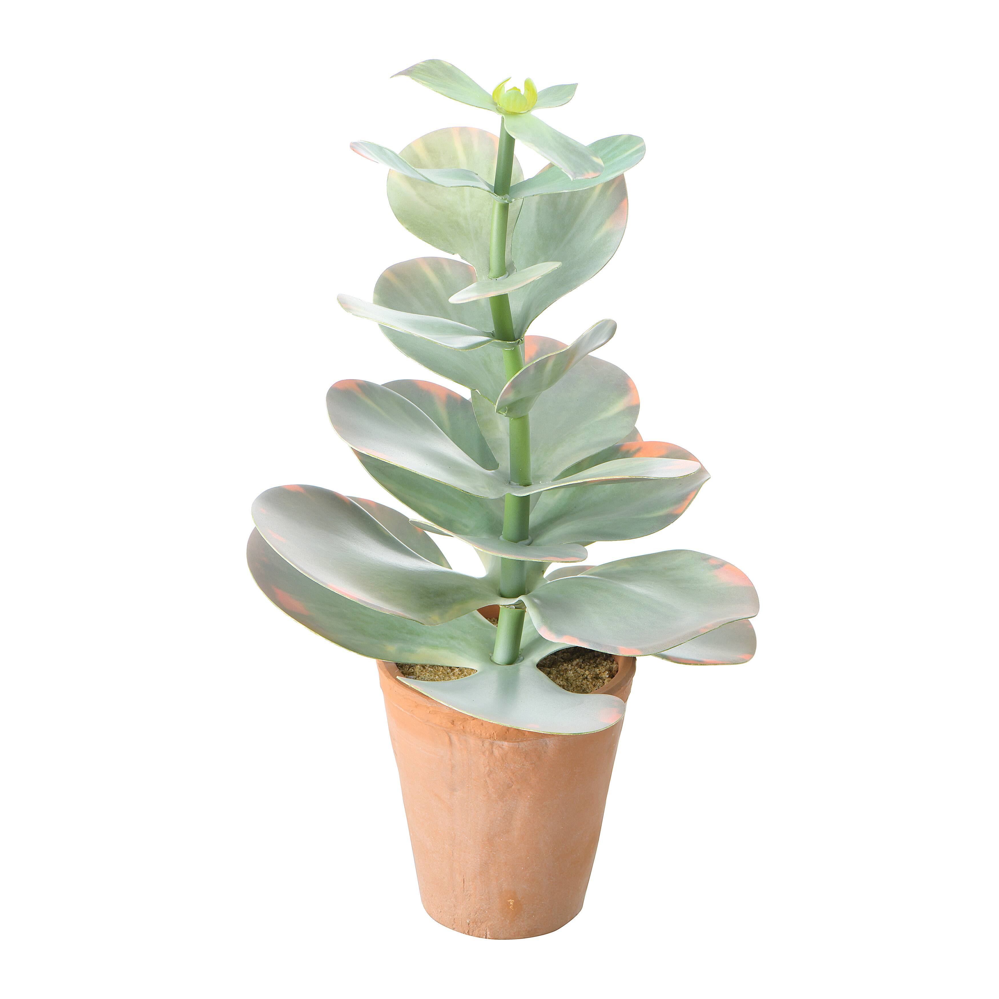 18&#x22; Faux Succulent in Terra Cotta Colored Pot