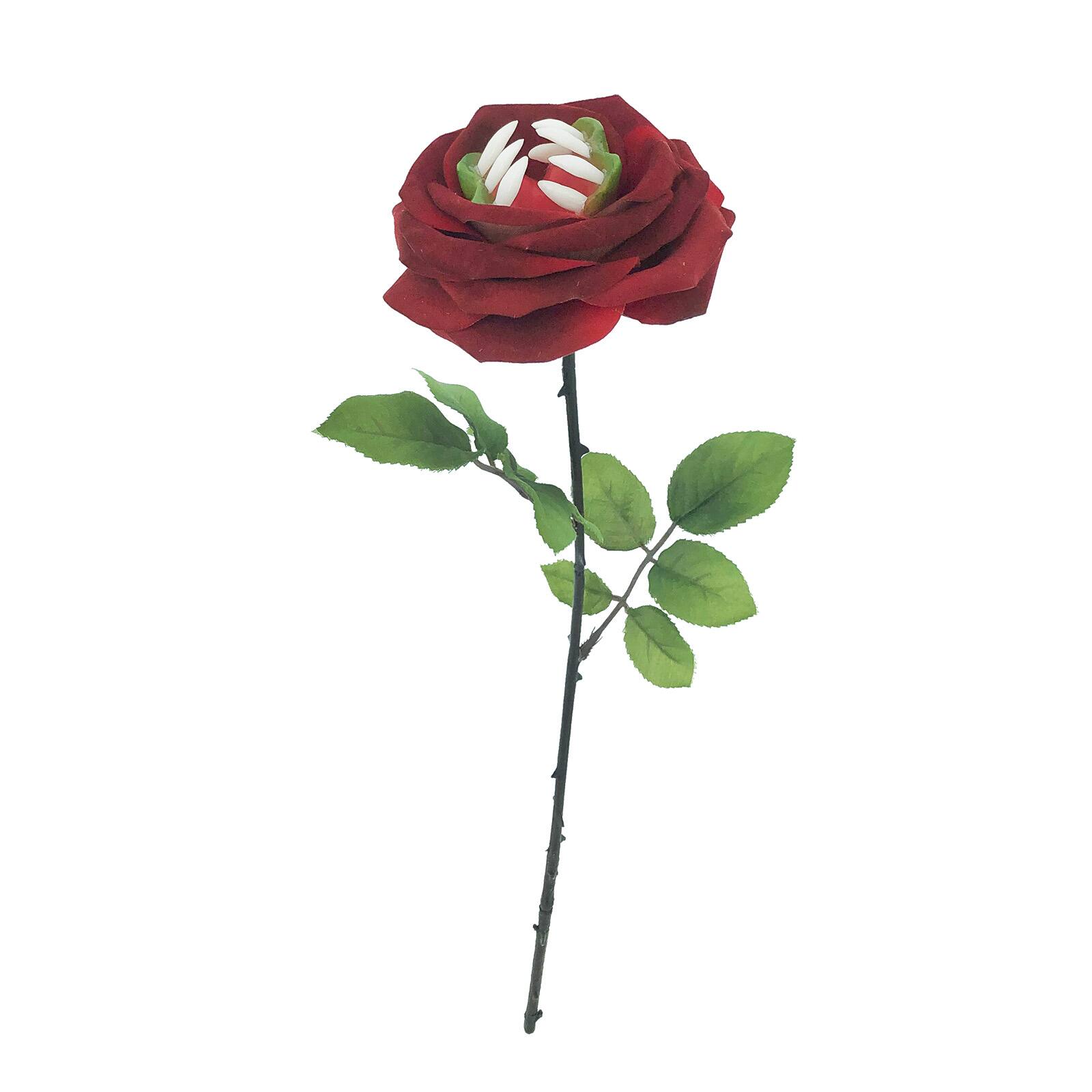 Red Rose Bush by Ashland®