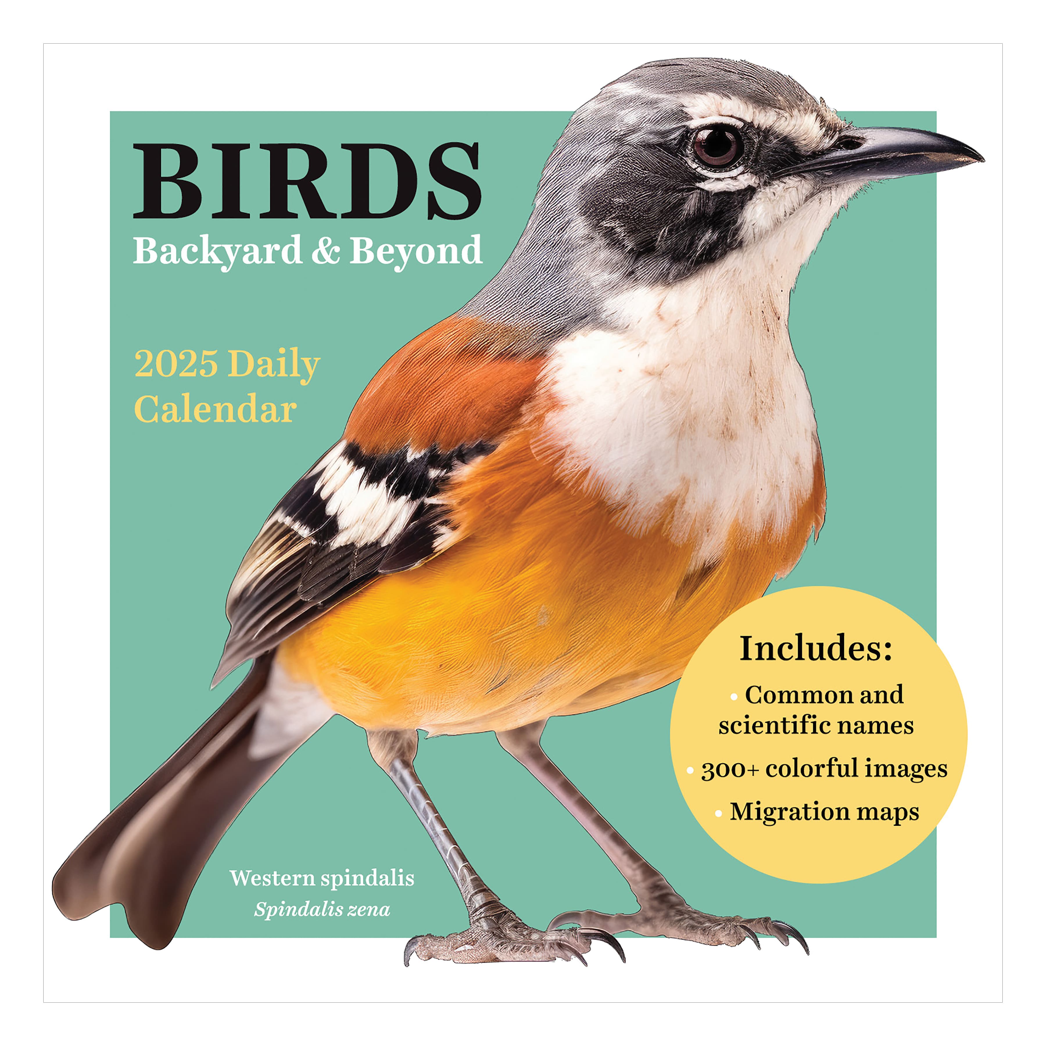 TF Publishing 2025 Birds: Backyard &#x26; Beyond Daily Desktop Calendar