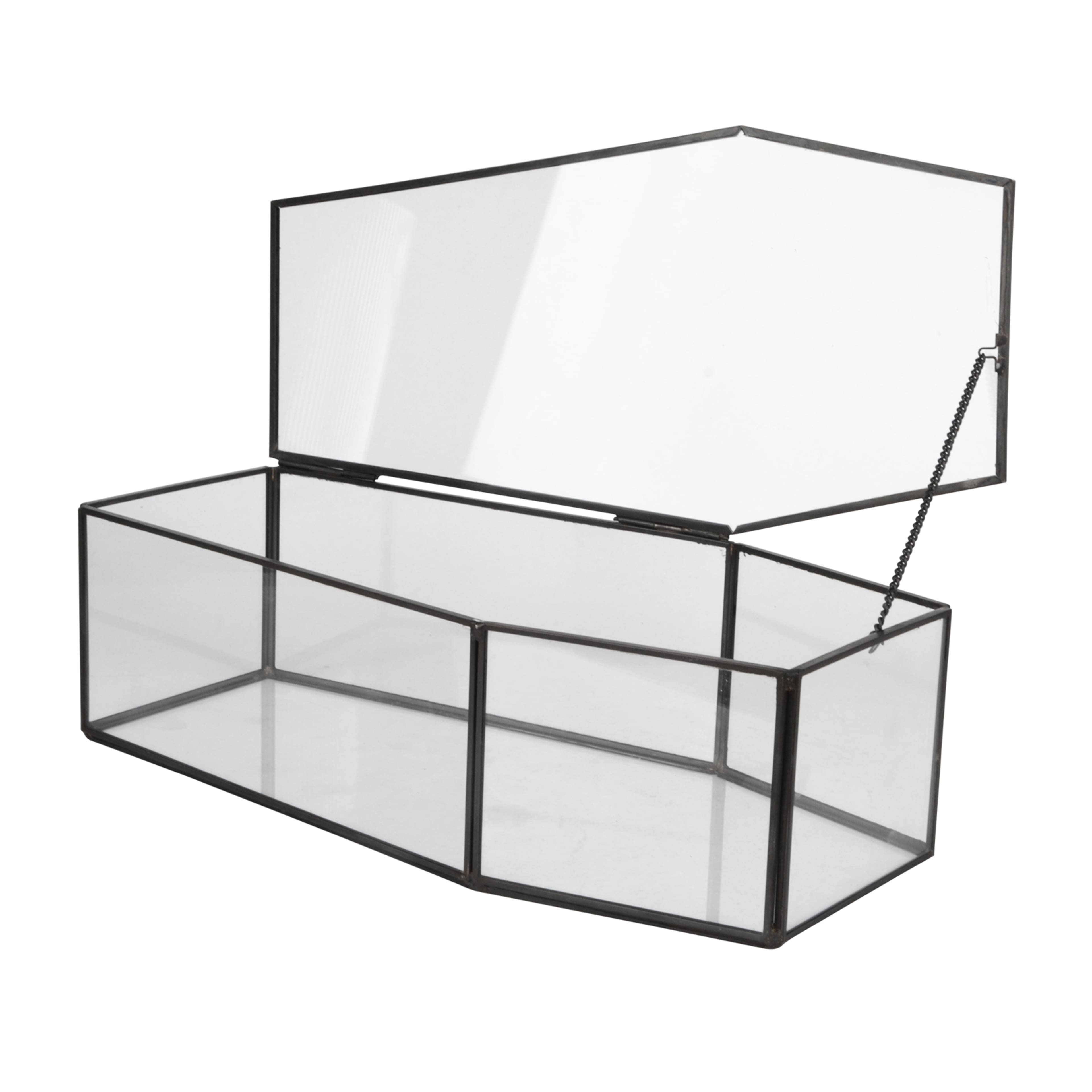 Coffin Terrarium by Ashland&#xAE;