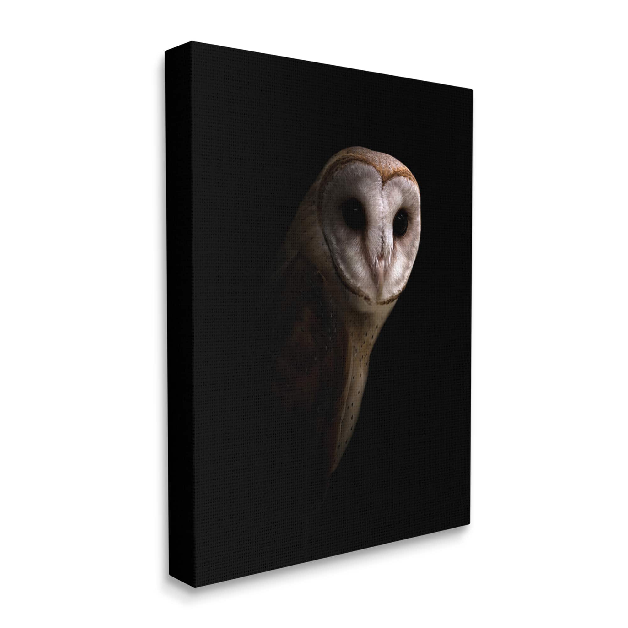 Stupell Industries Intense Barn Owl Black Shadow Photography Canvas Wall Art