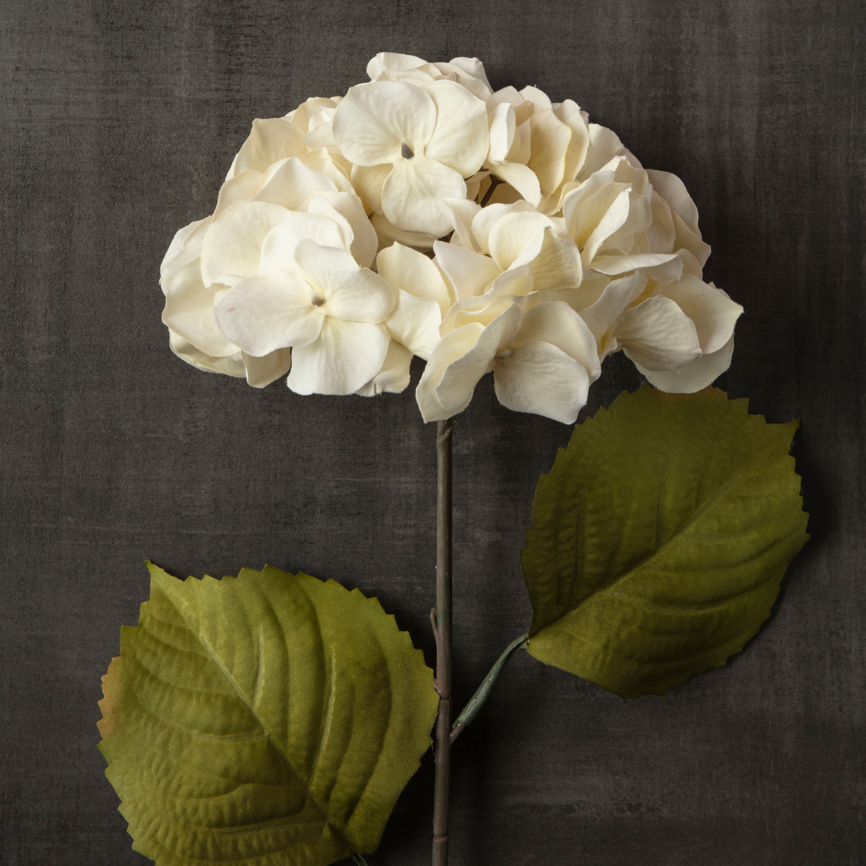 Cream Hydrangea Stem by Ashland&#xAE;