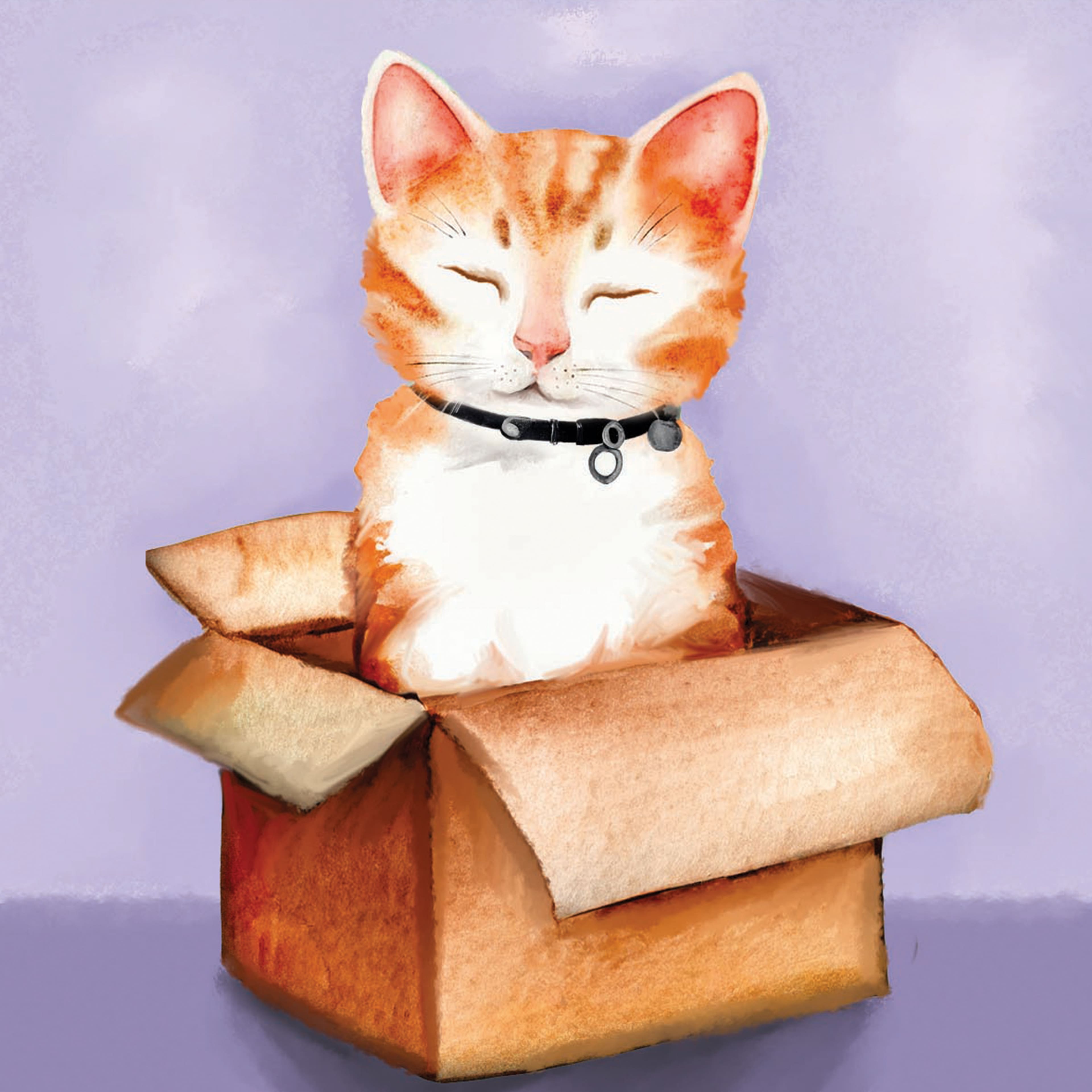 Cats Mini Canvas Painting Kit by Craft Smart&#xAE;