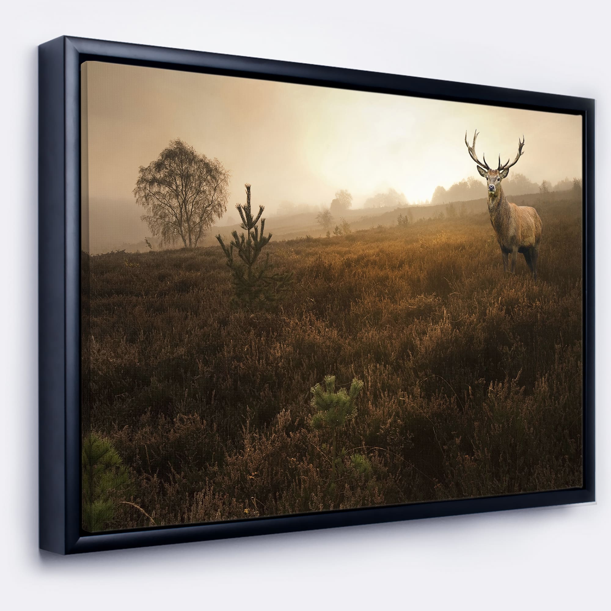 Designart - Mist Forest with Red Deer Stag - Landscape Photo Canvas Art Print in Black Frame