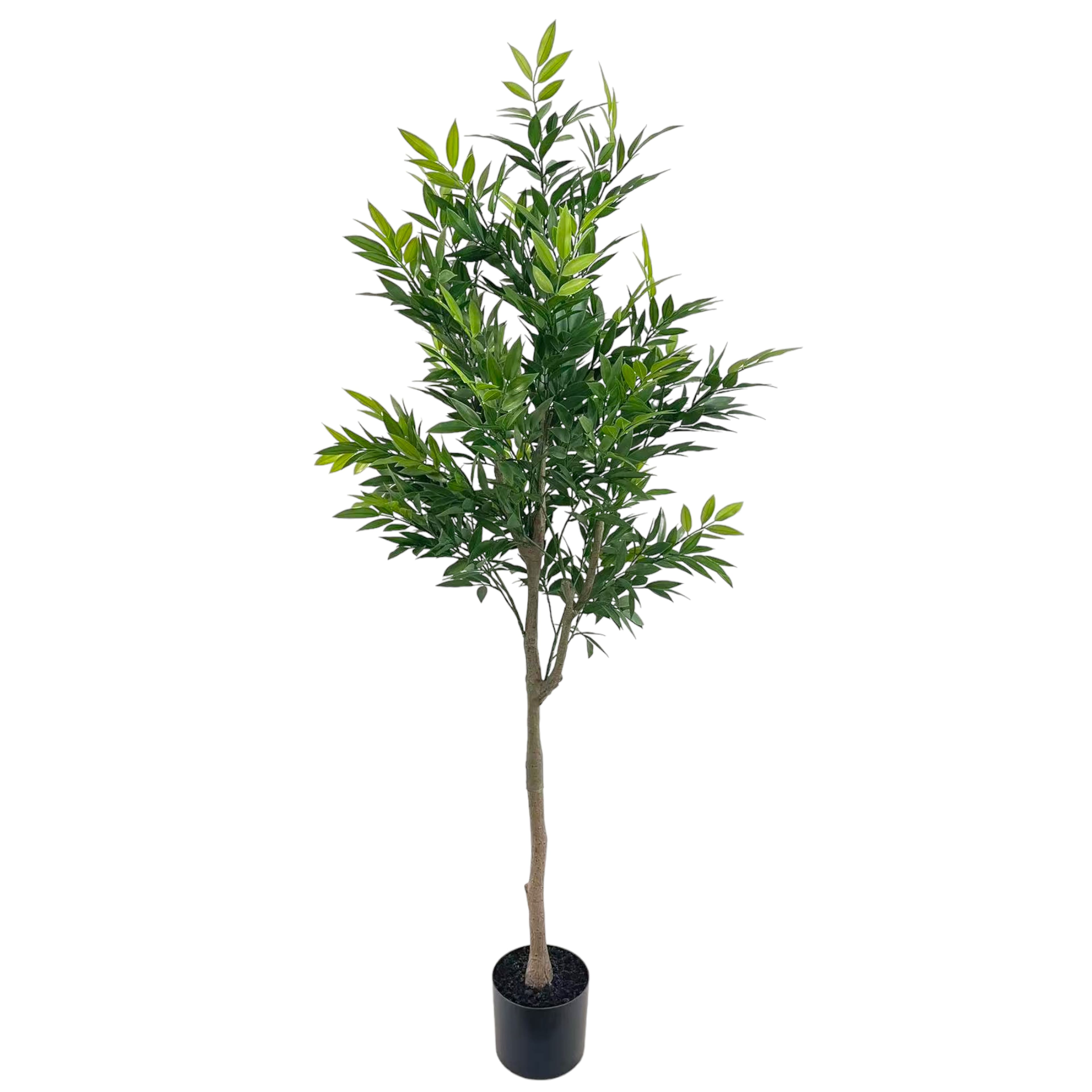 4.5ft. Potted Green Ruscus Tree by Ashland&#xAE;