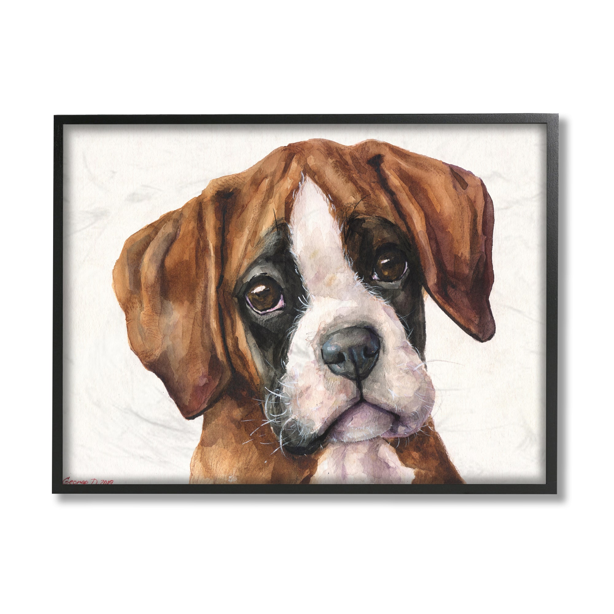 Stupell Industries Puppy Eyes Boxer Dog Pet Portrait Brown White in Black Frame Wall Art