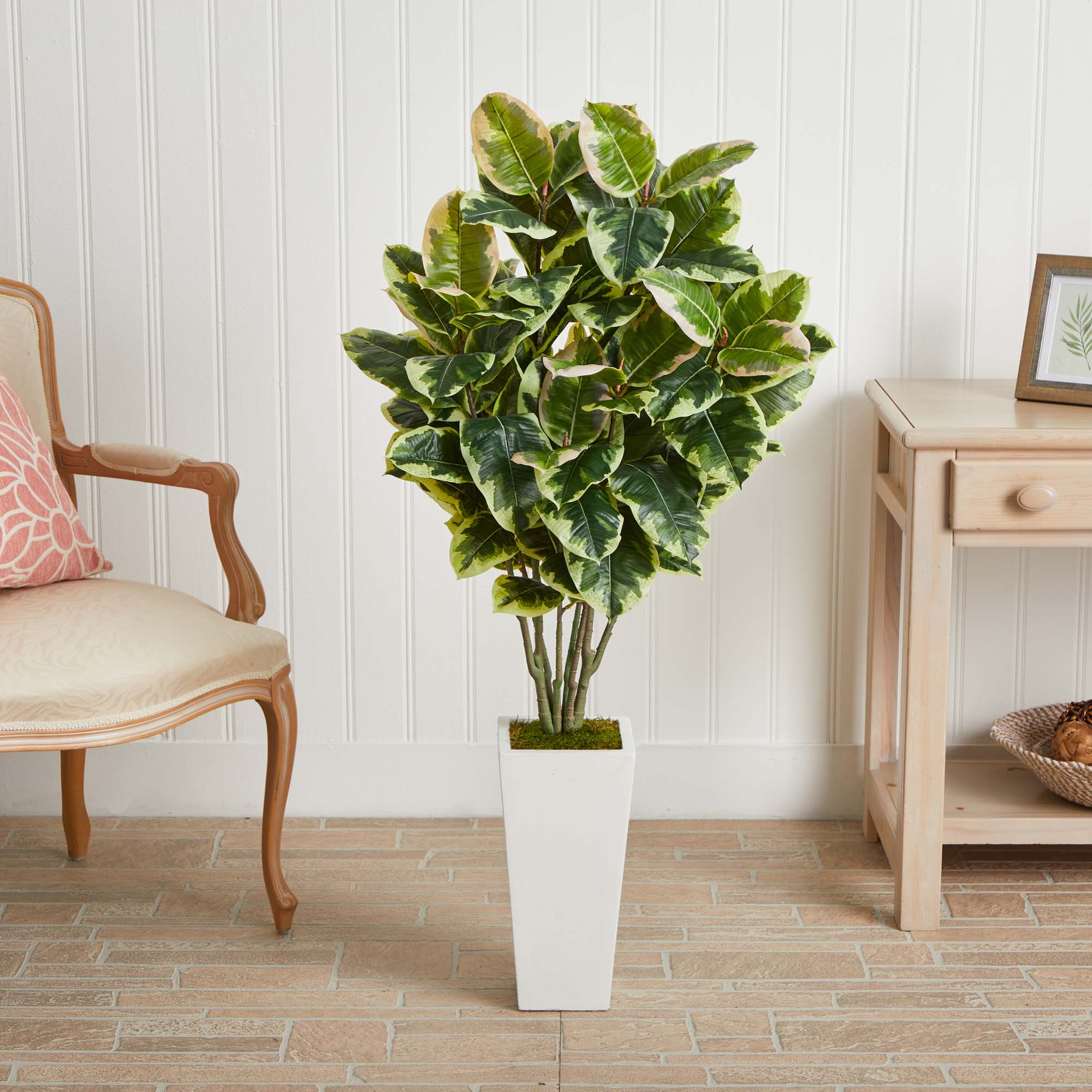 4ft. Variegated Rubber Leaf Tree In White Tower Vase