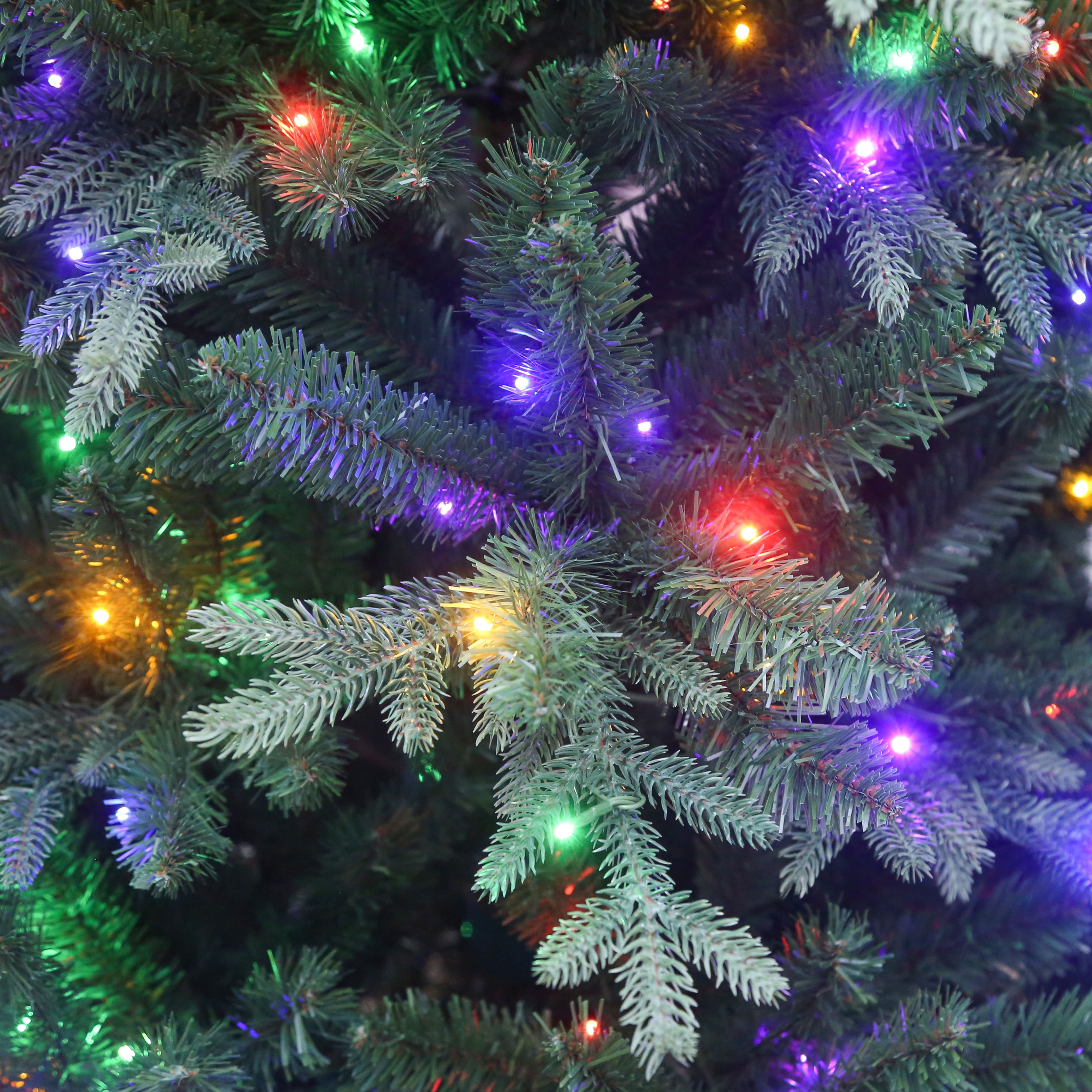 7.5ft. Pre-Lit Windsor Spruce Artificial Christmas Tree, Color Changing LED Lights by Ashland&#xAE;