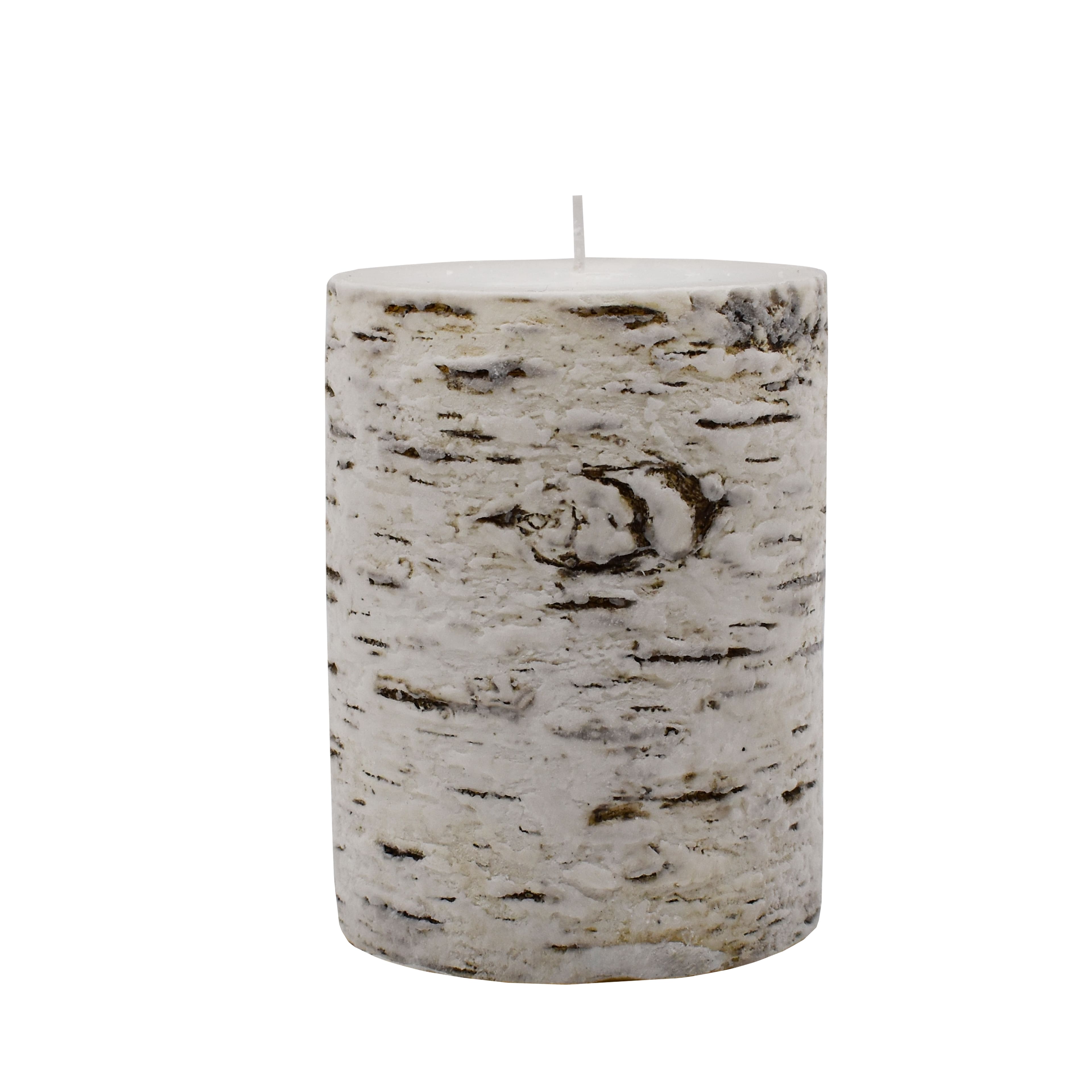 5&#x22; Birch &#x26; Pine Unscented Pillar Candle by Ashland&#xAE;