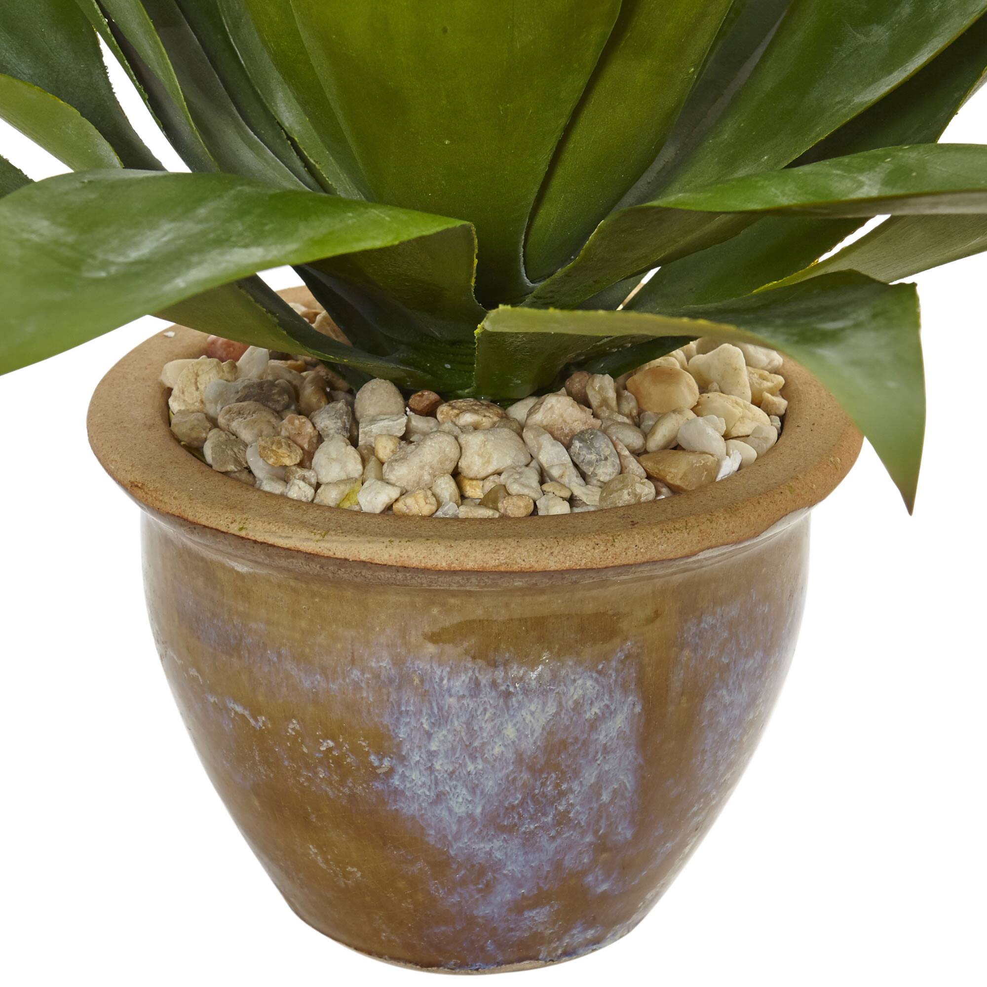 14&#x22; Agave Plant in Glazed Clay Pot