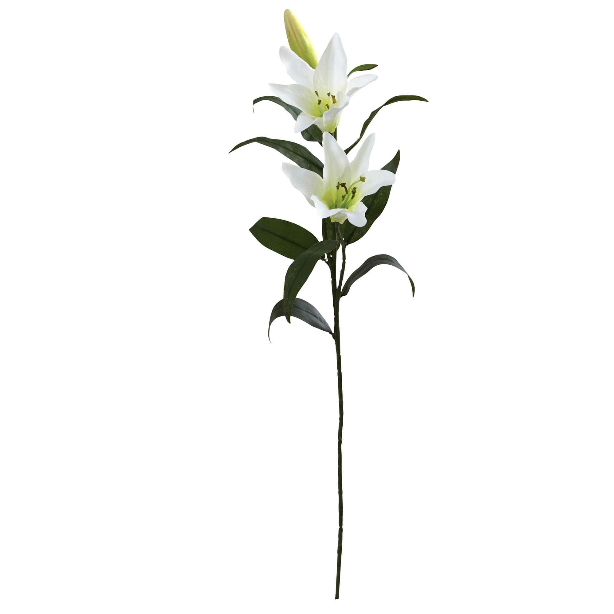 White Lily Stem, 12ct.