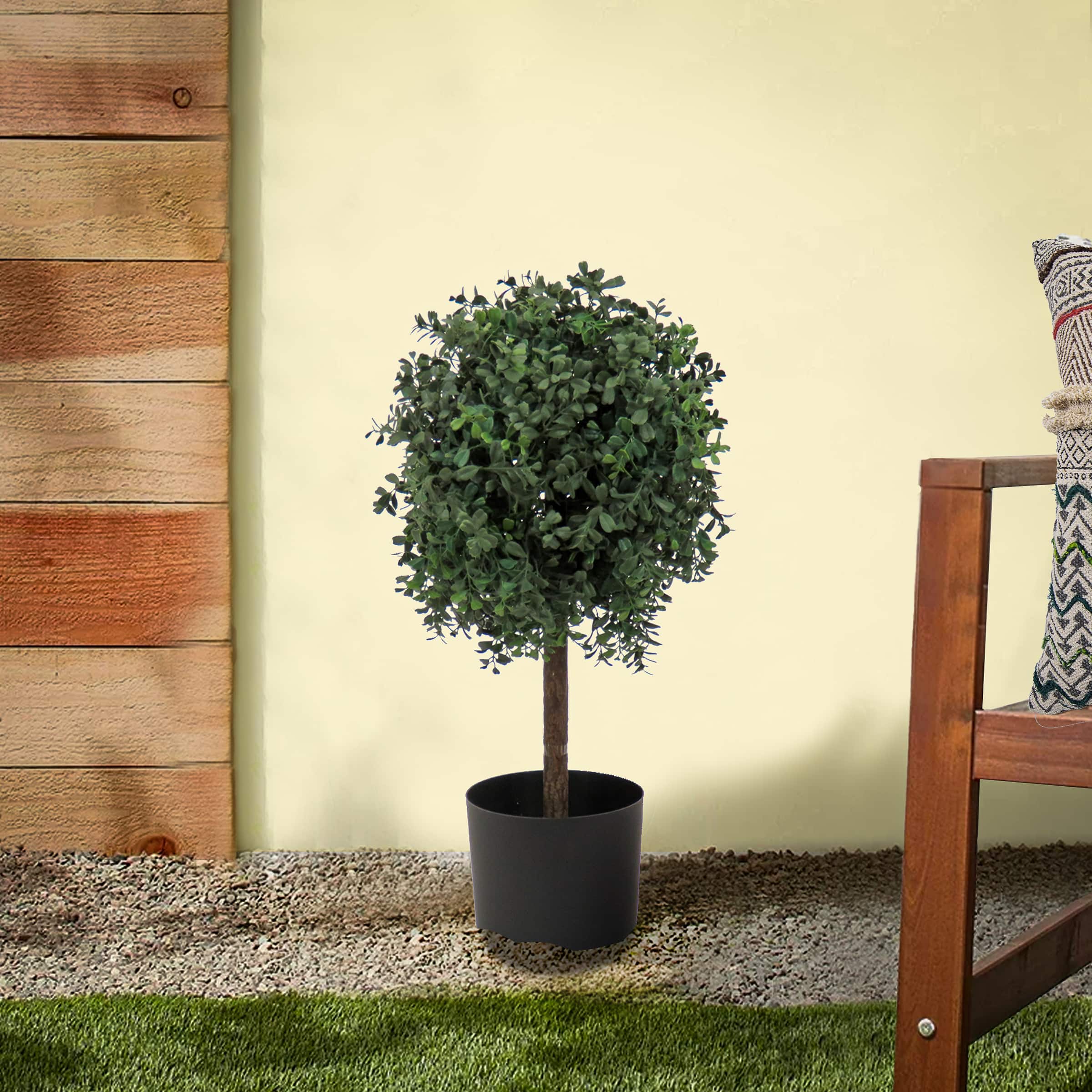 2ft. Boxwood Single Ball Topiary in Nursery Pot