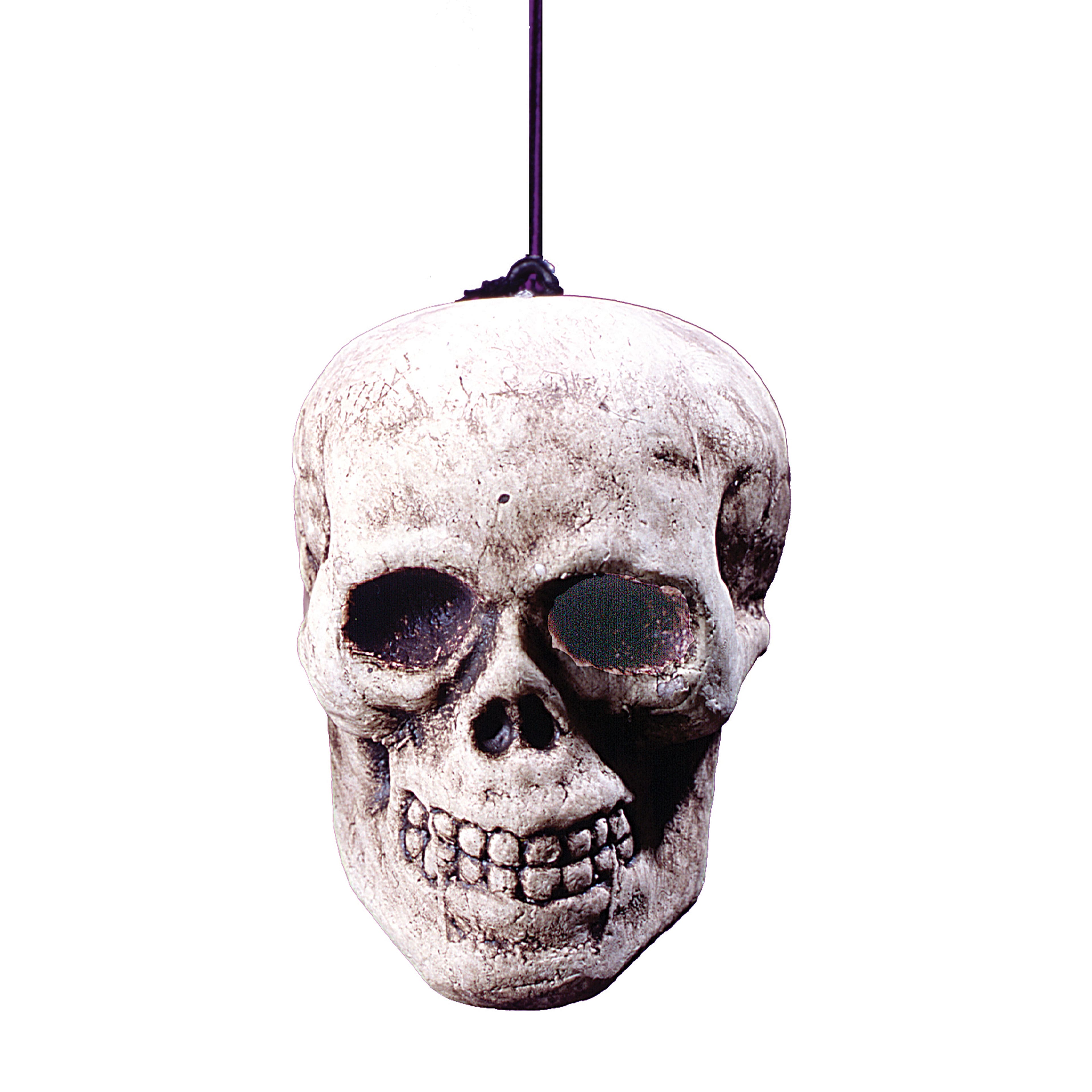Assorted 3.5&#x22; Skull by Ashland&#xAE;, 1pc.
