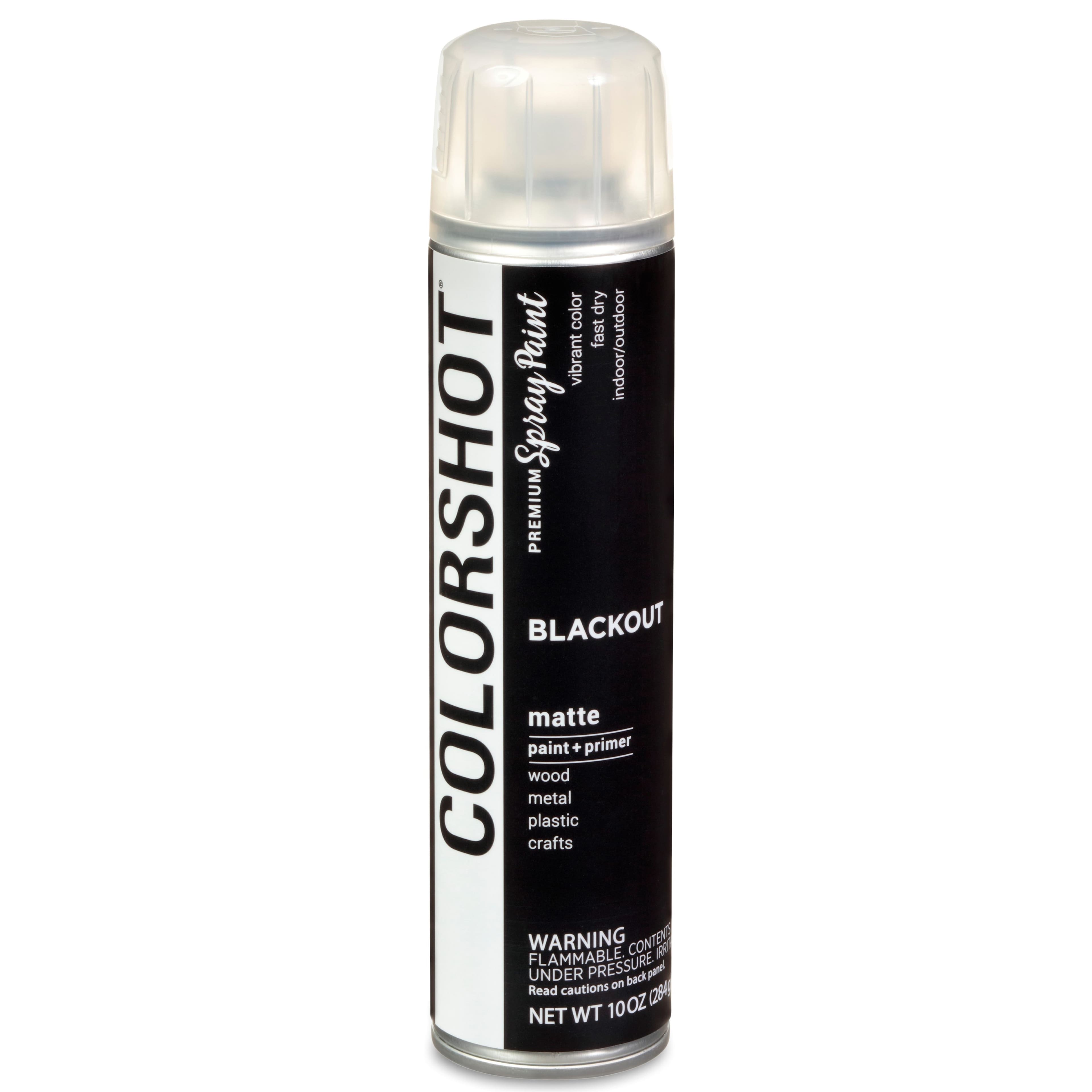 COLORSHOT® Blackout Matte Spray Paint