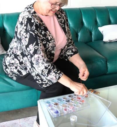 Everything Mary Large Plastic Bead Storage Organizer Box with 24 Jars