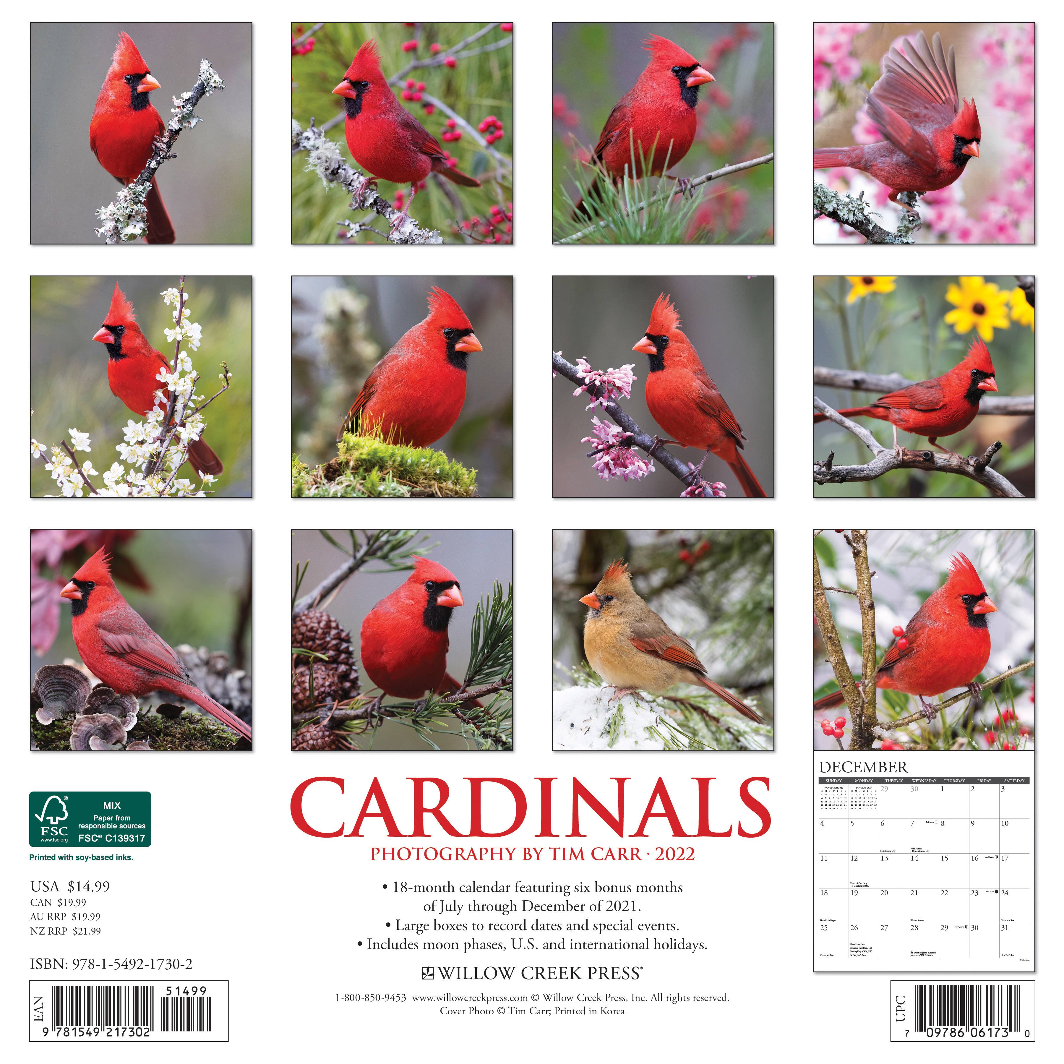 2022 Cardinals Wall Calendar | Michaels