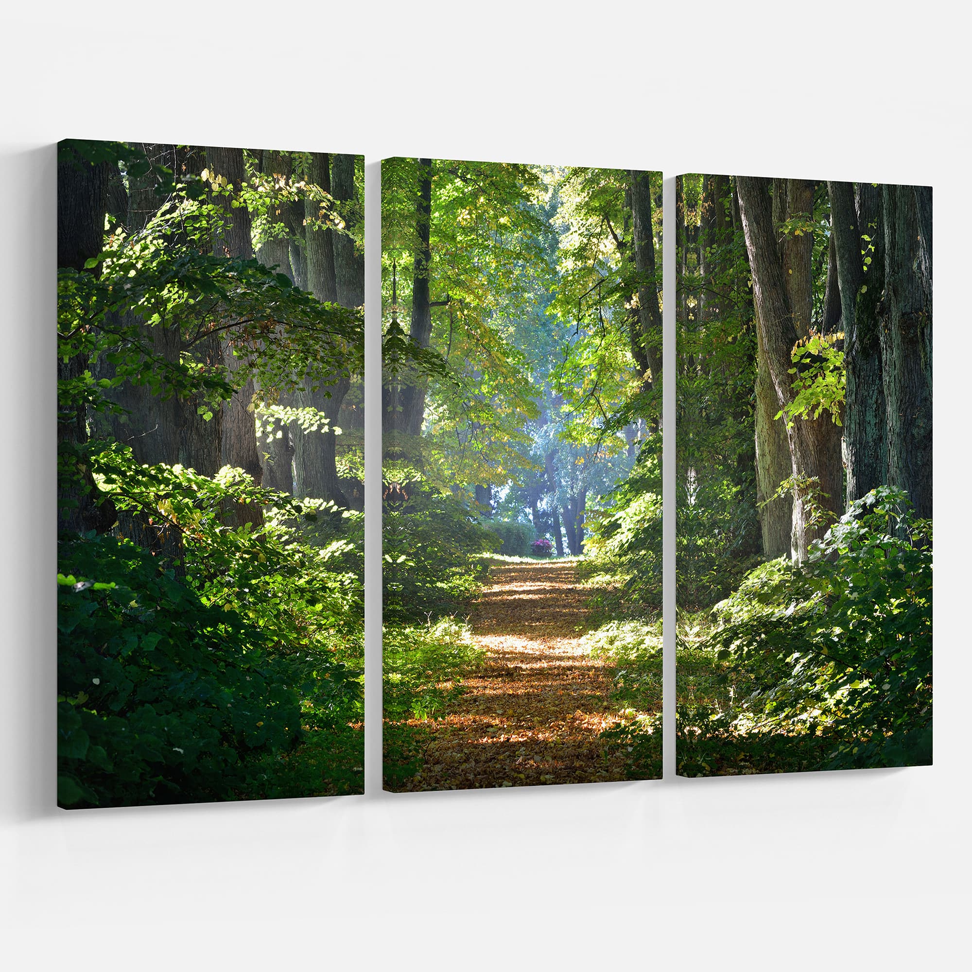 Designart - Bright Green Forest in Morning - Landscape Photography Canvas Print