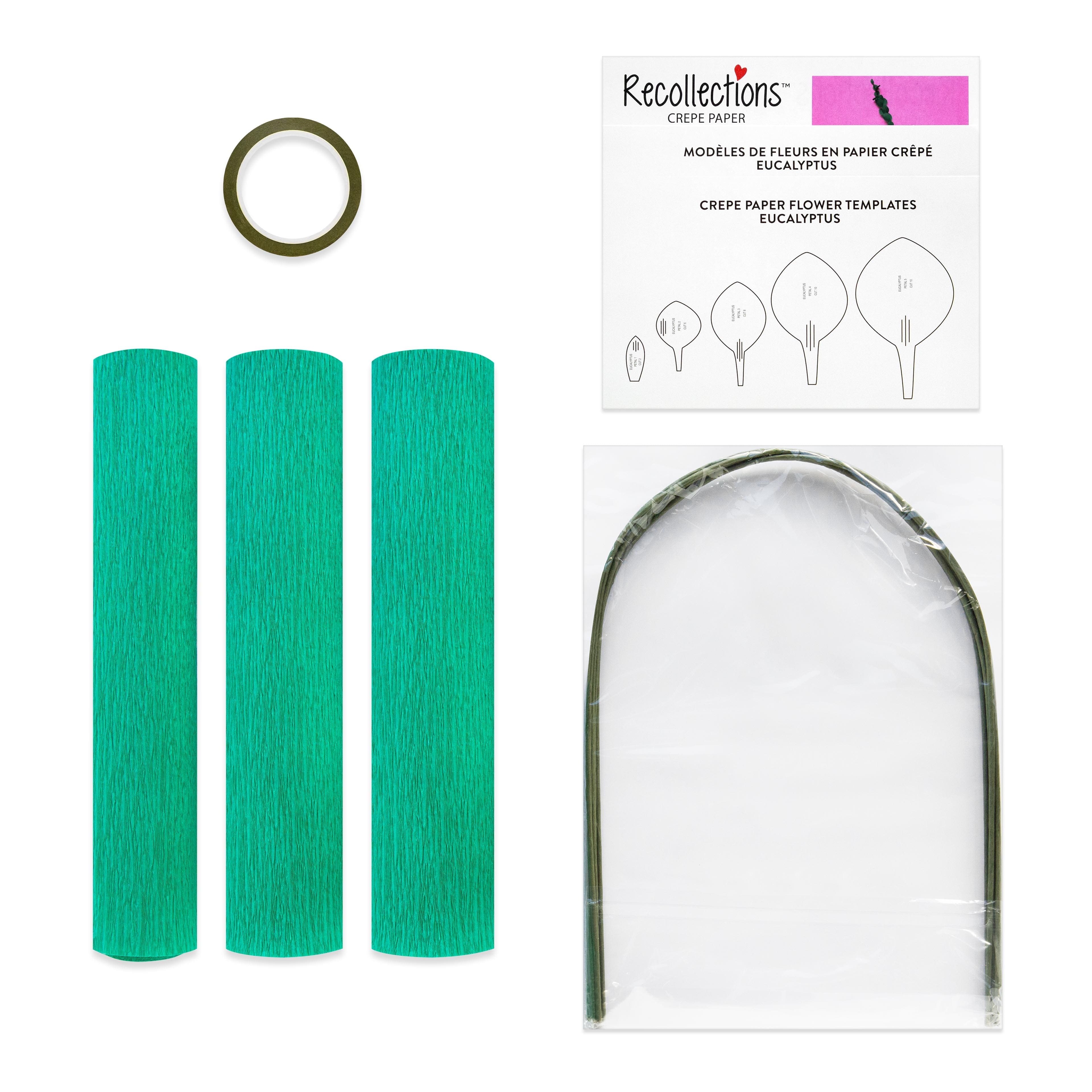 Small Eucalyptus Crepe Paper Flower Kit by Recollections&#x2122;
