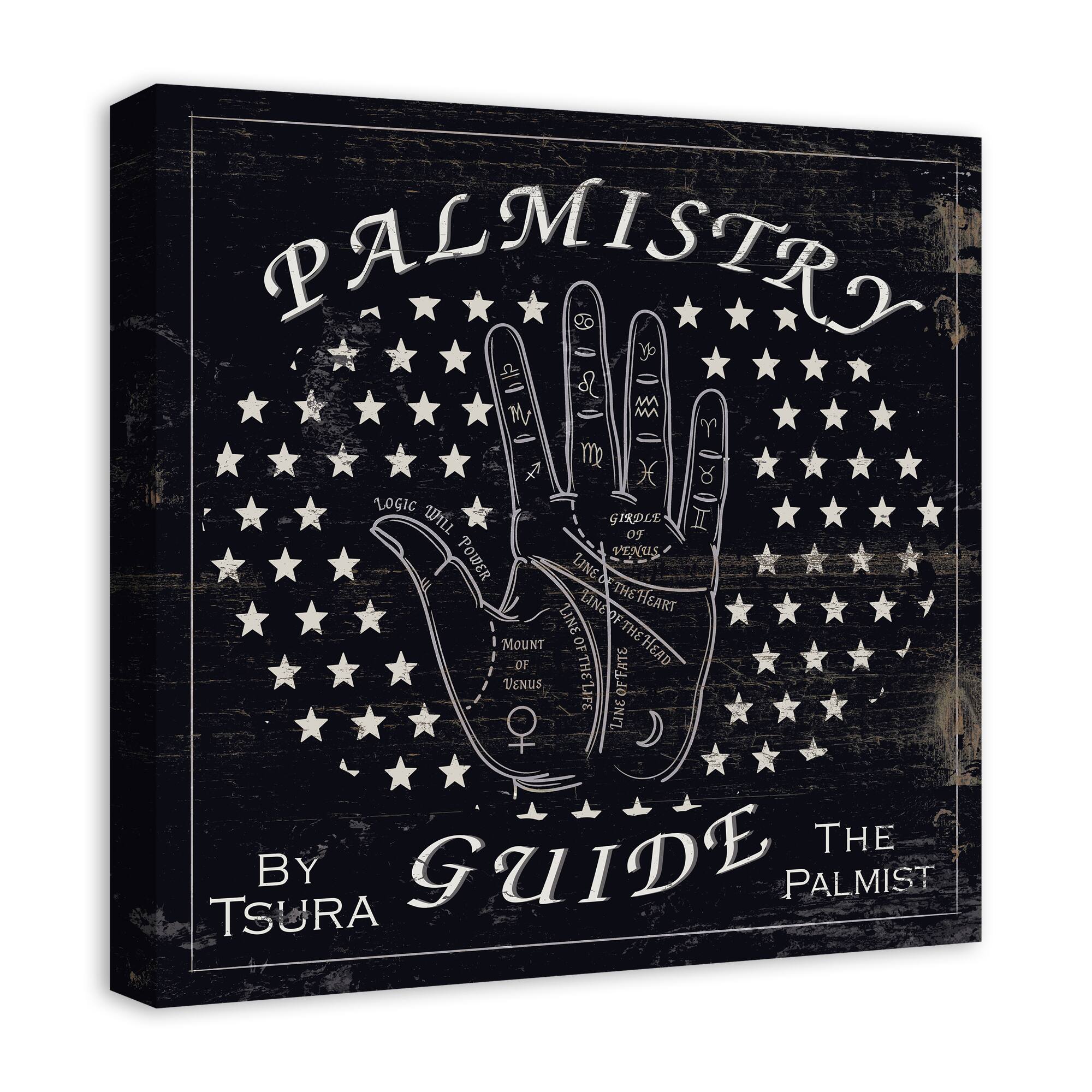 Palm Reading Guide 3 20&#x22; x 20&#x22; Canvas Wall Art
