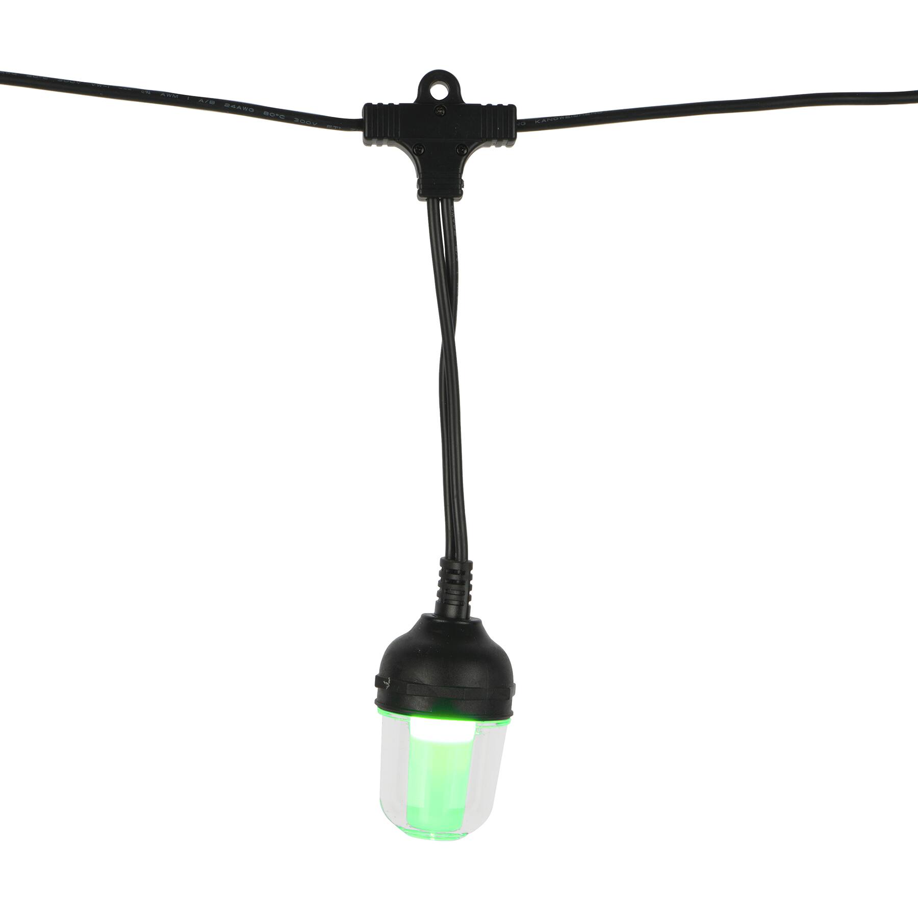 10ct. LED Projection String Lights by Ashland