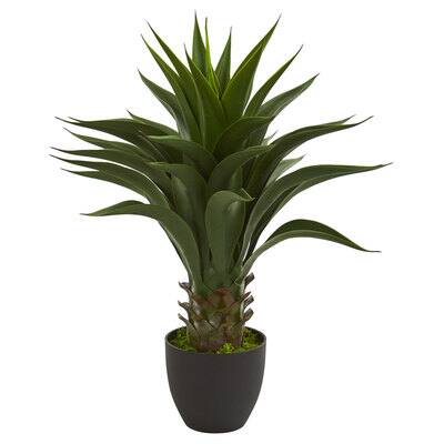 28” Potted Agave Plant | Michaels