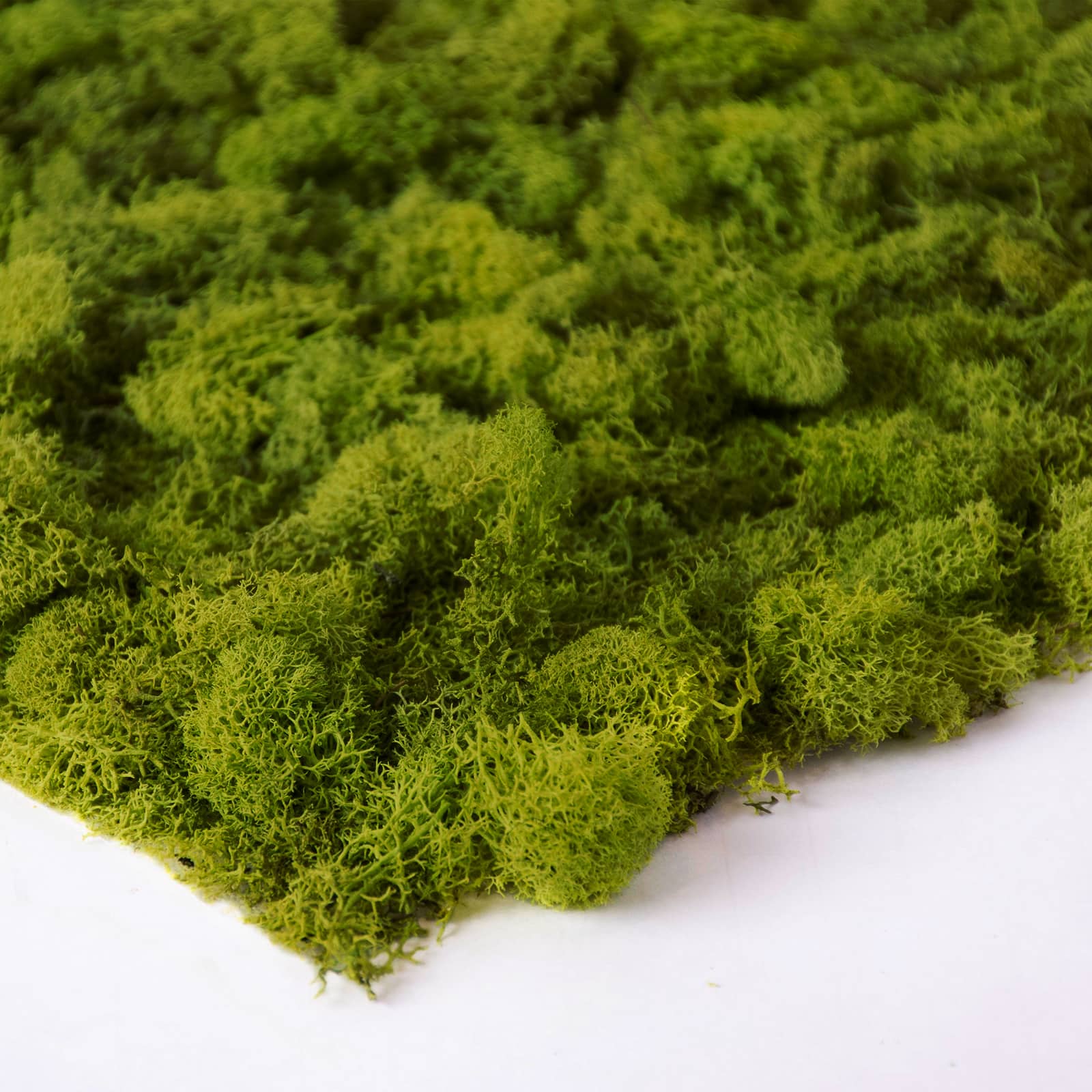 SuperMoss&#xAE; All-Purpose Sticky Moss Mat