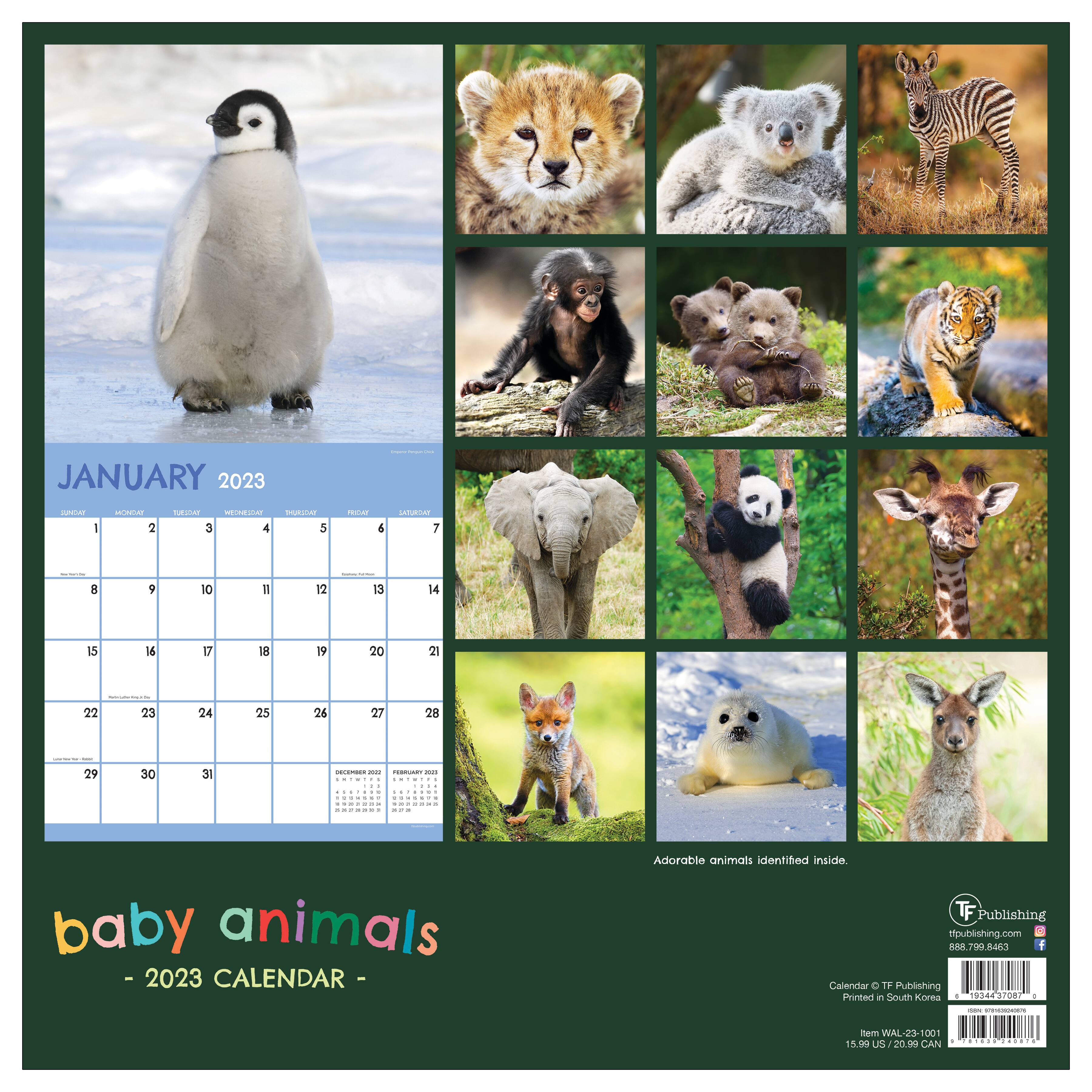 2023 Baby Animals Wall Calendar | Michaels