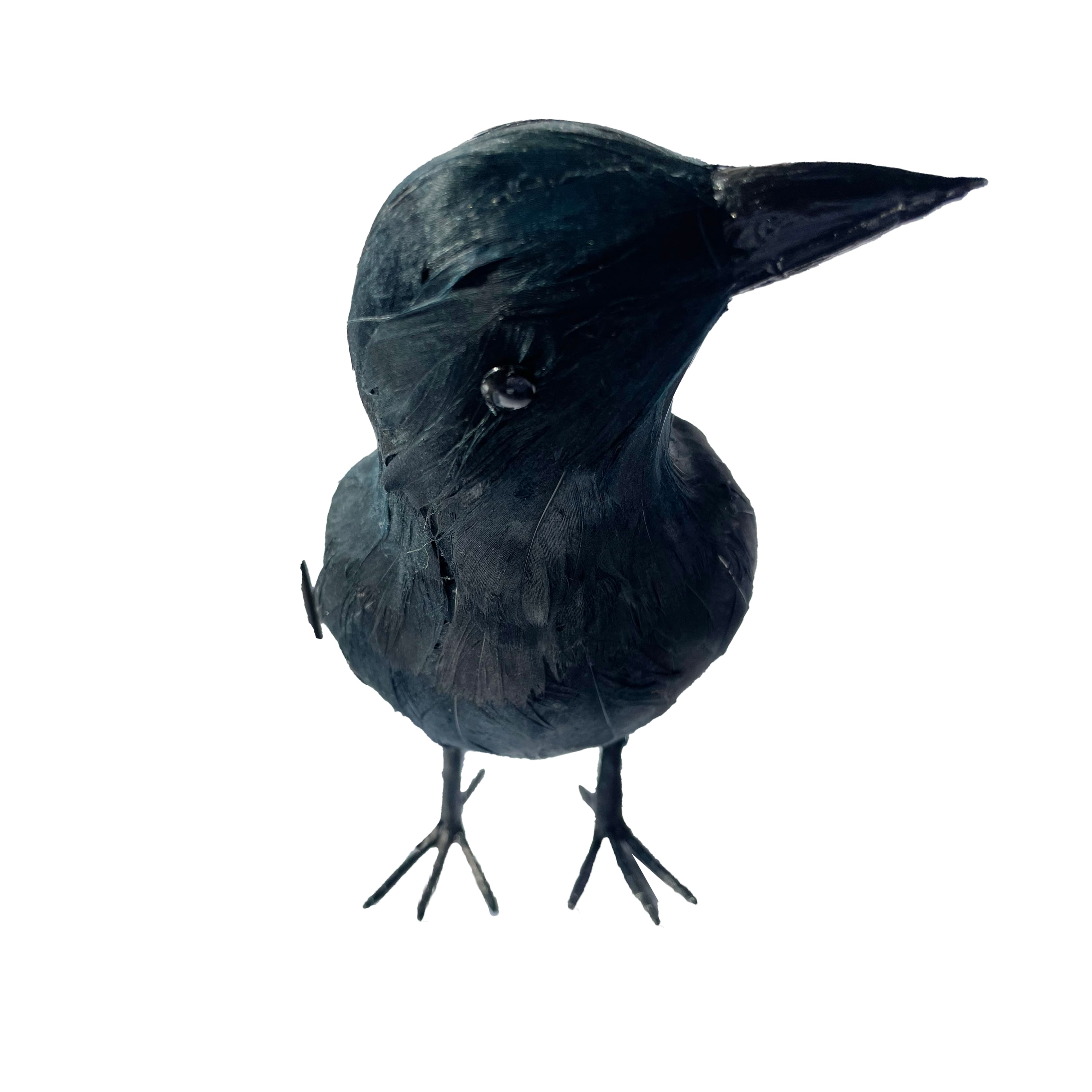 7.5&#x22; Iridescent Black Crow by Ashland&#xAE;