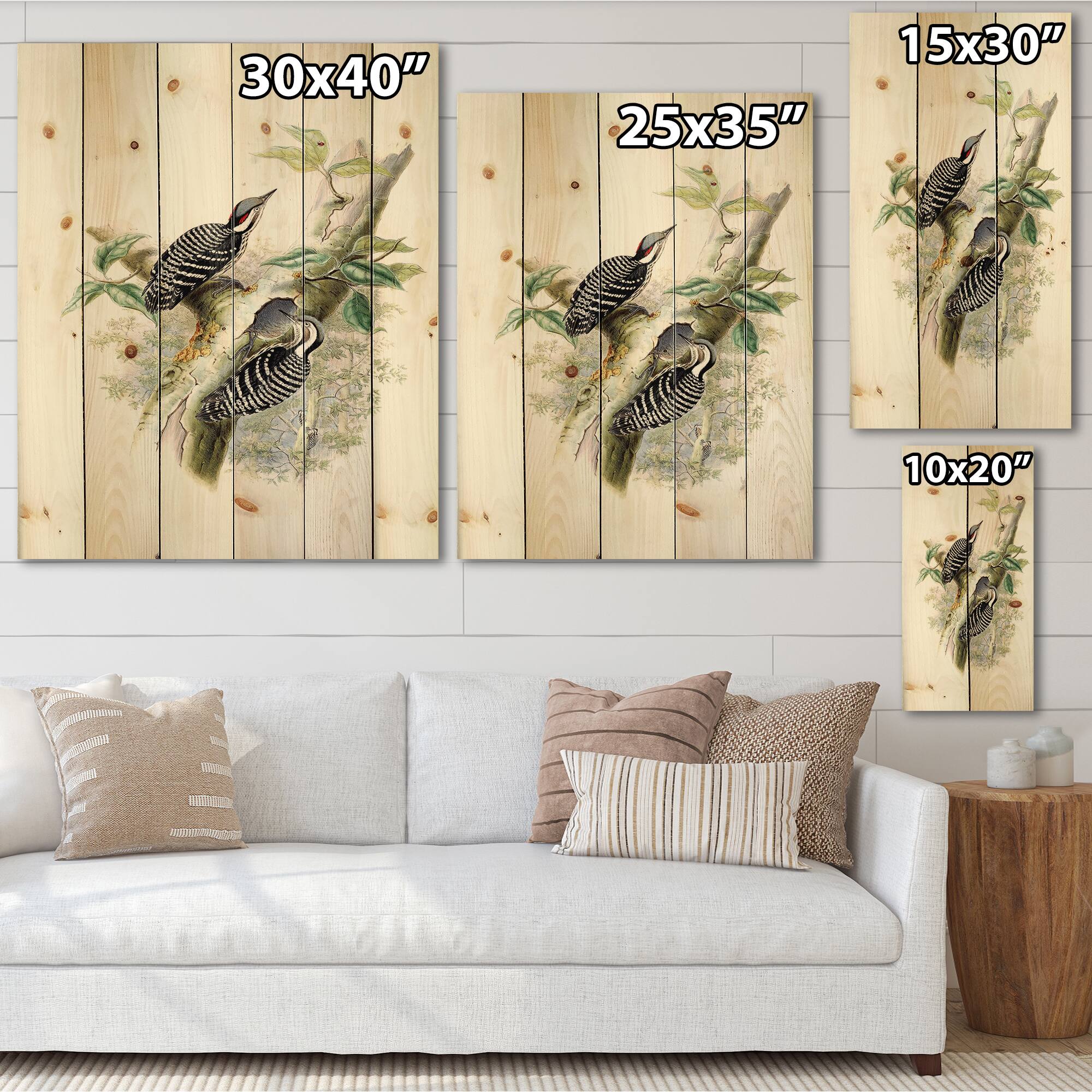 Designart - Vintage Birds In The Wild V - Traditional Print on Natural Pine Wood
