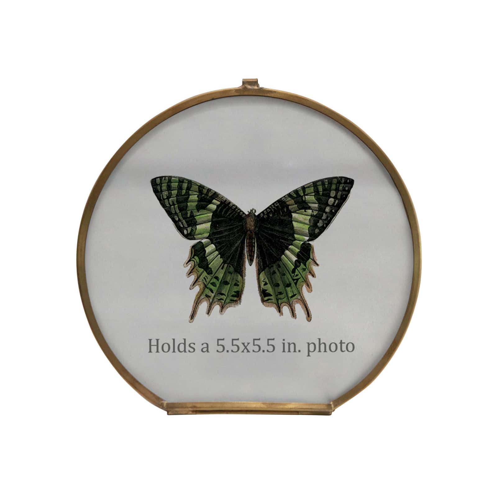 Hello Honey&#xAE; Brass &#x26; Glass 5.5&#x22; x 5.5&#x22; Photo Frame