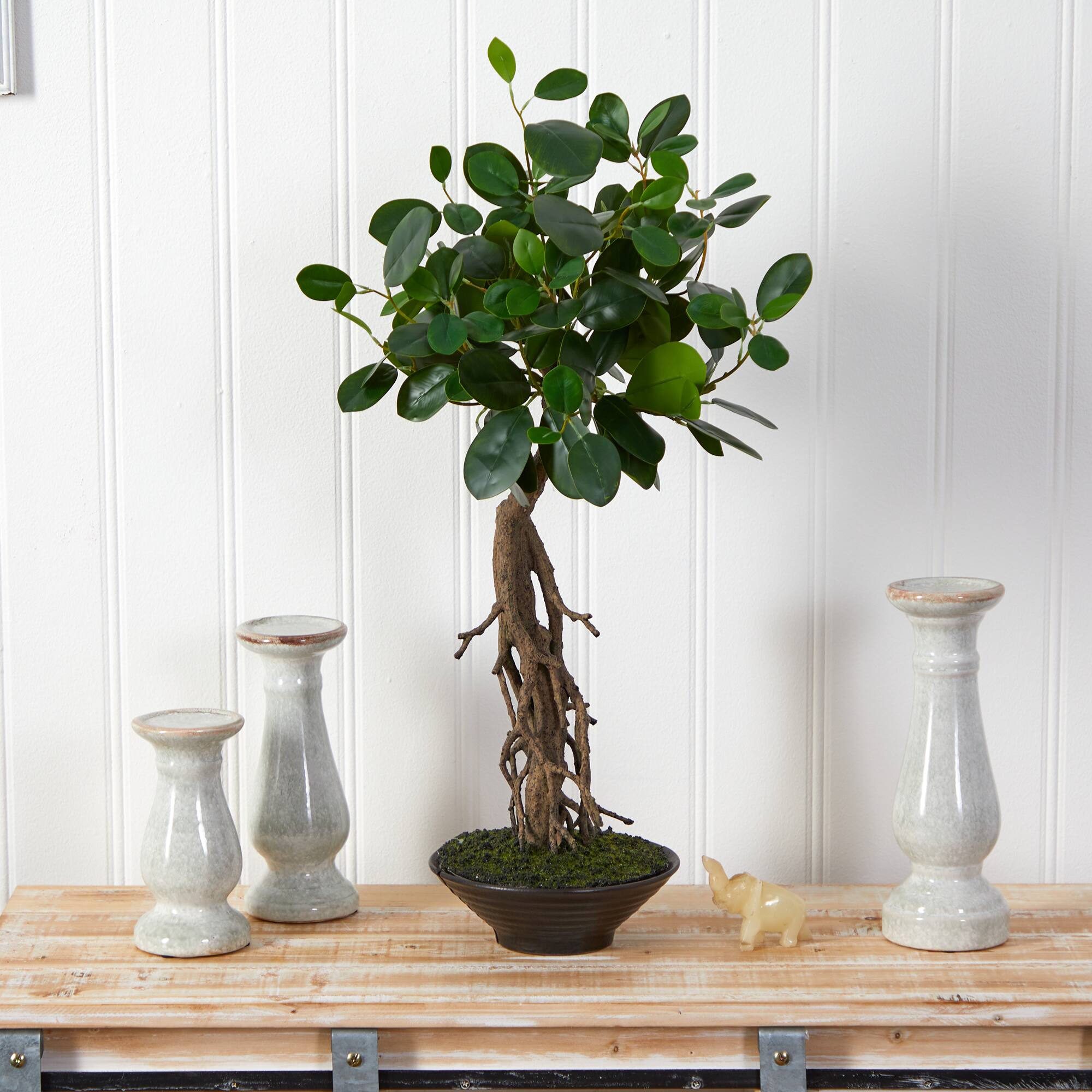 2ft. Ficus Bonsai Artificial Tree in Decorative Planter