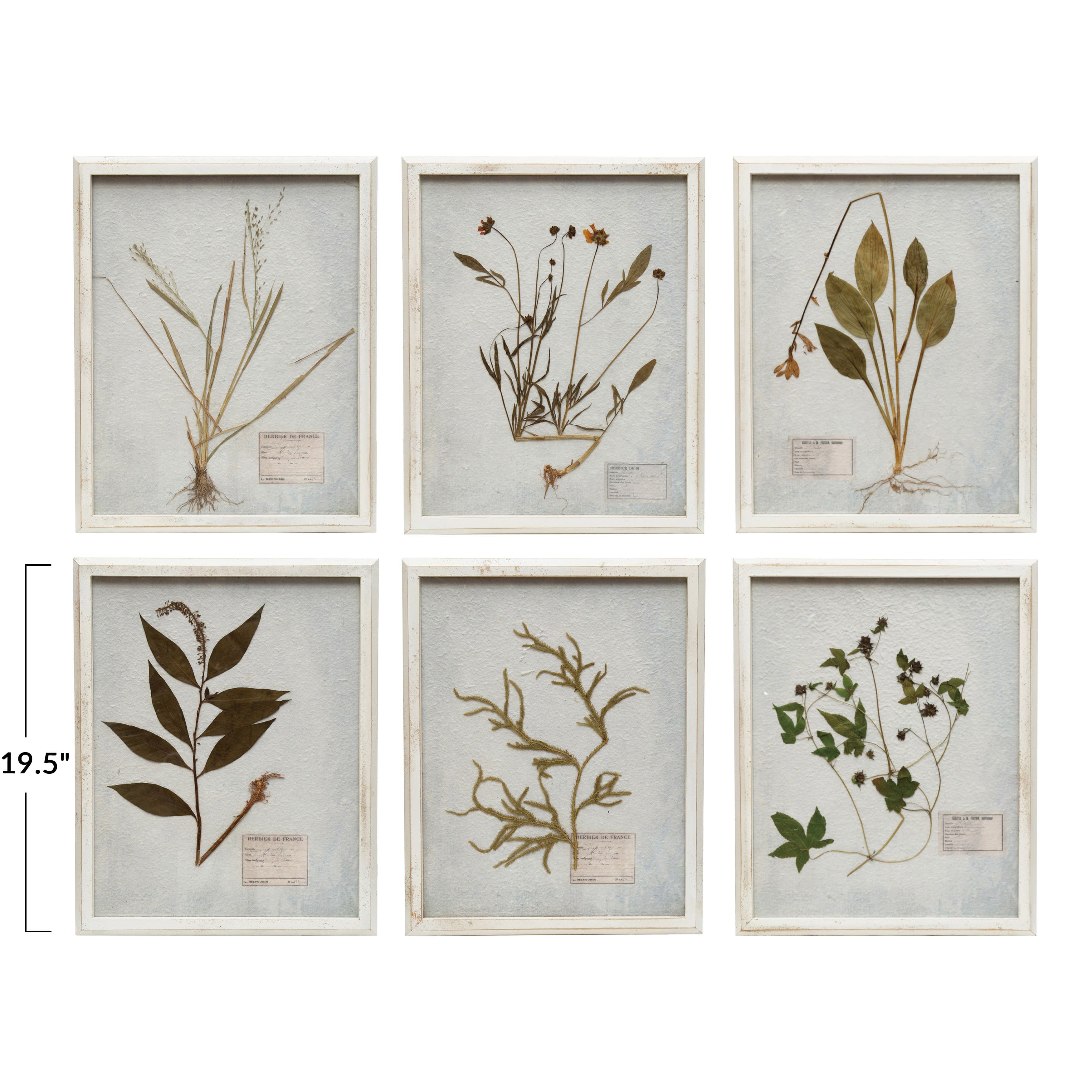 Wood Framed Glass Wall D&#xE9;cor with Dried Botanicals Set