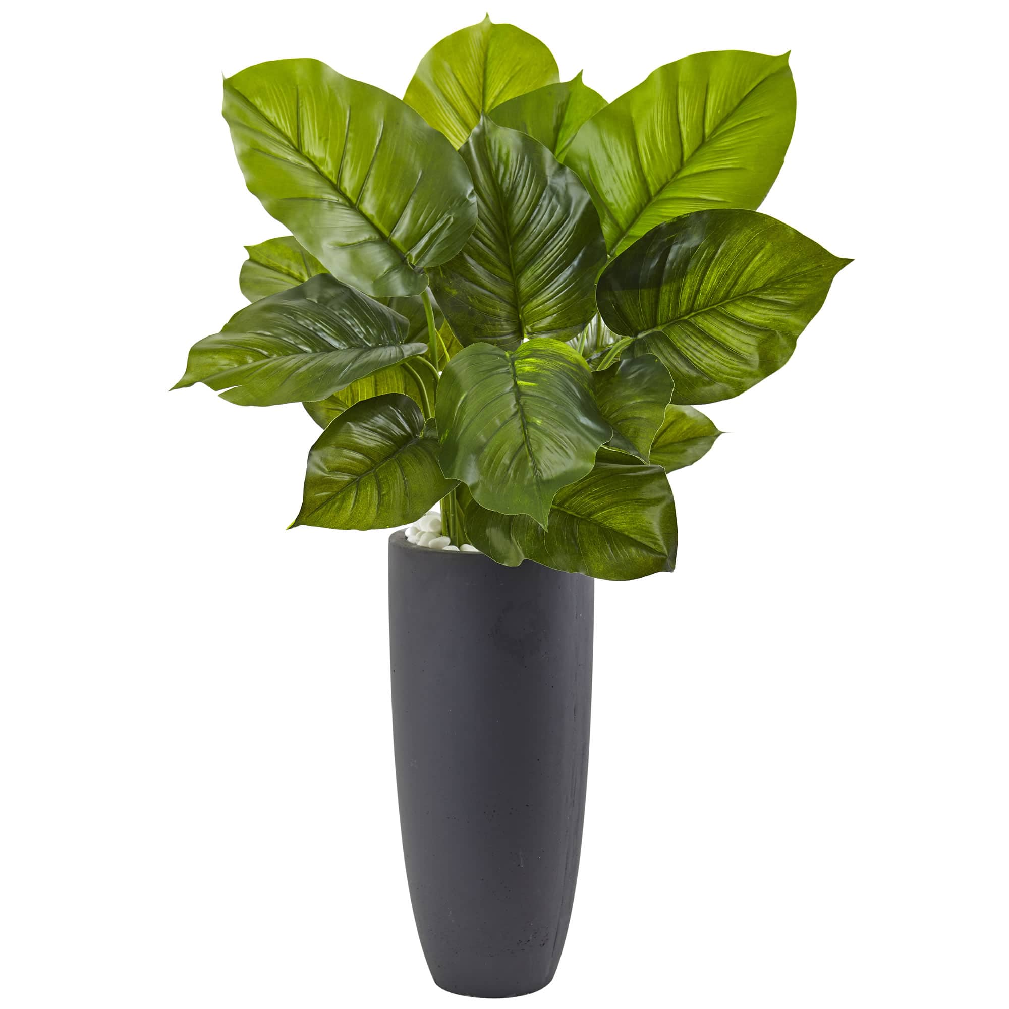 3ft. Large Leaf Philodendron in Gray Cylindrical Planter