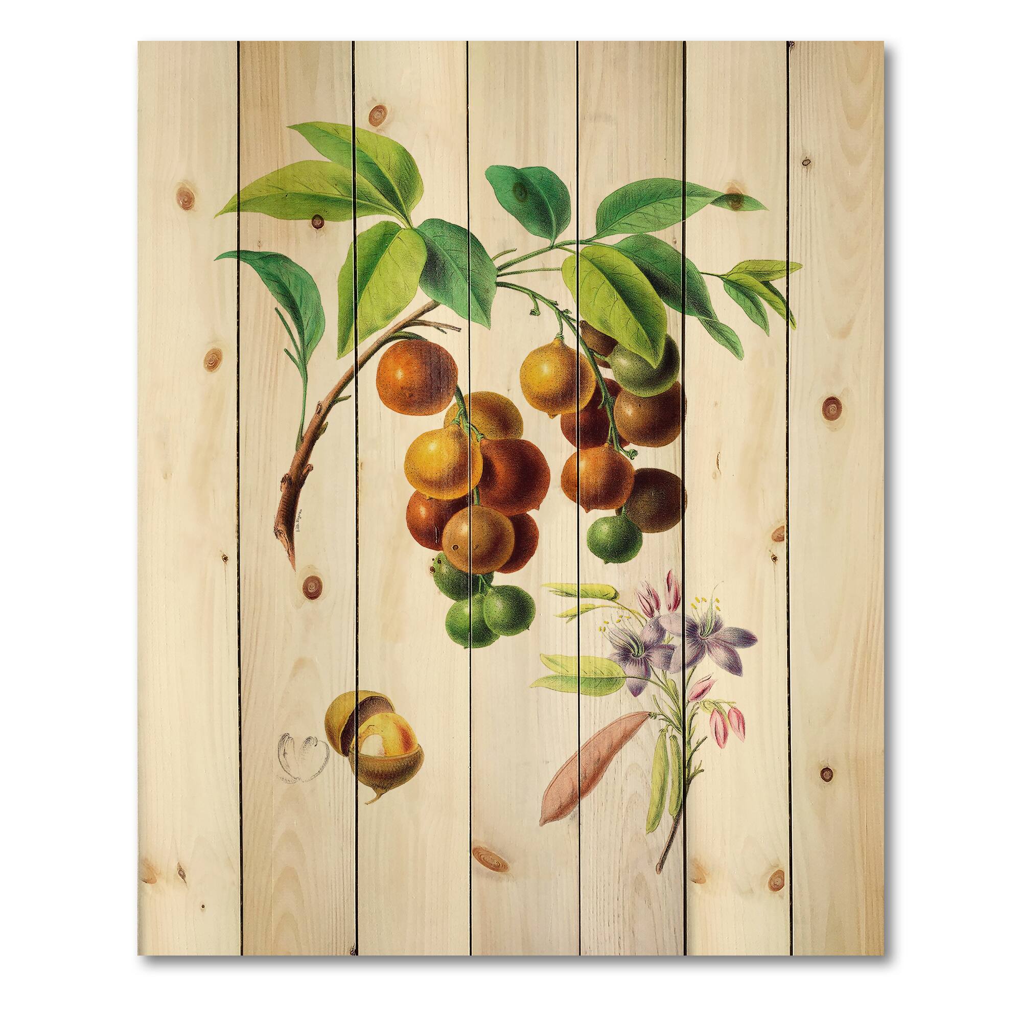 Designart - Vintage Fruits III - Farmhouse Print on Natural Pine Wood