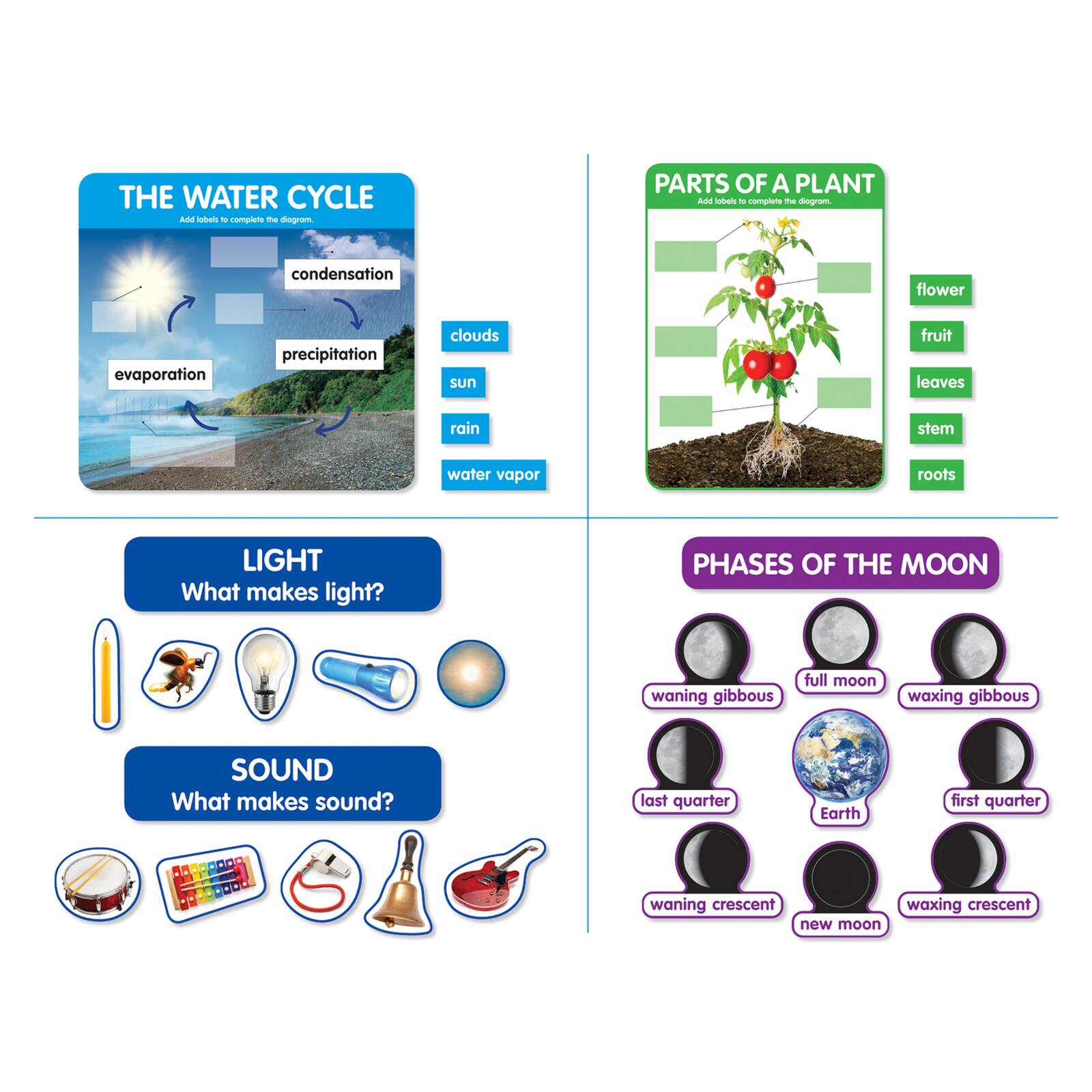 Scholastic&#xAE; Early Science Concepts Bulletin Board Set