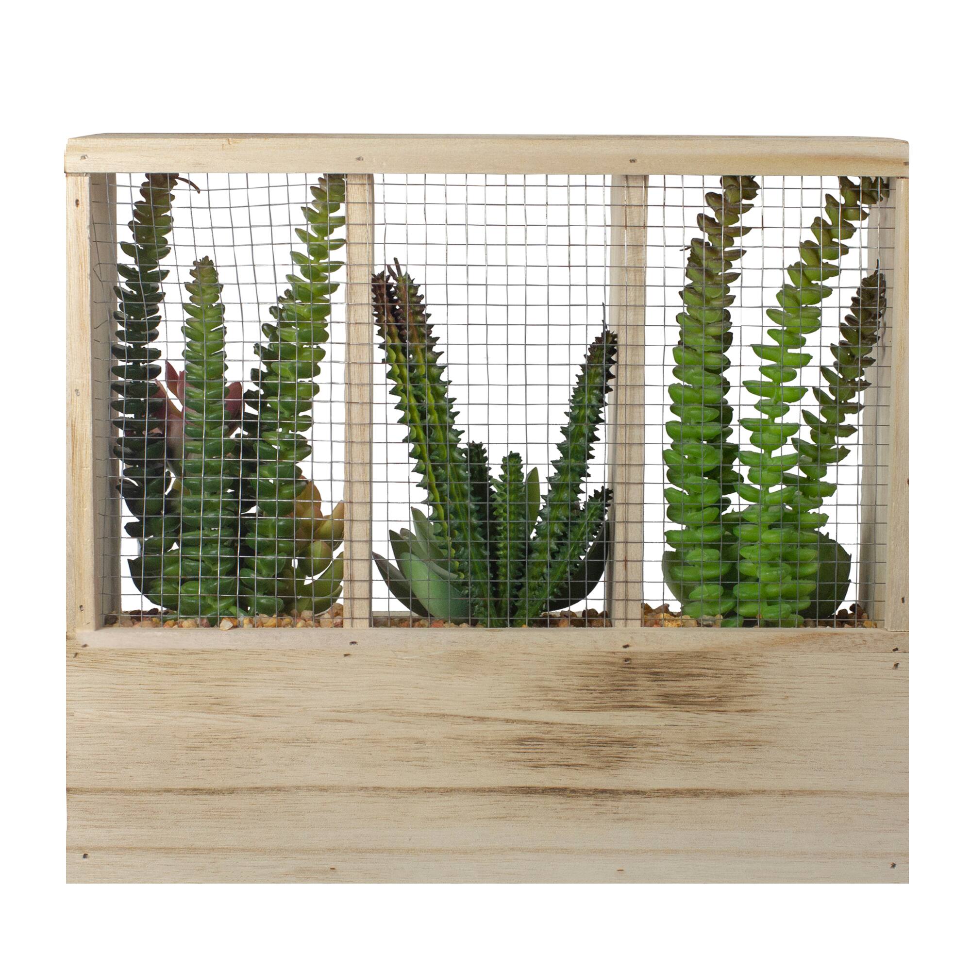 11" Mixed Succulent Arrangement in Wooden Planter Box