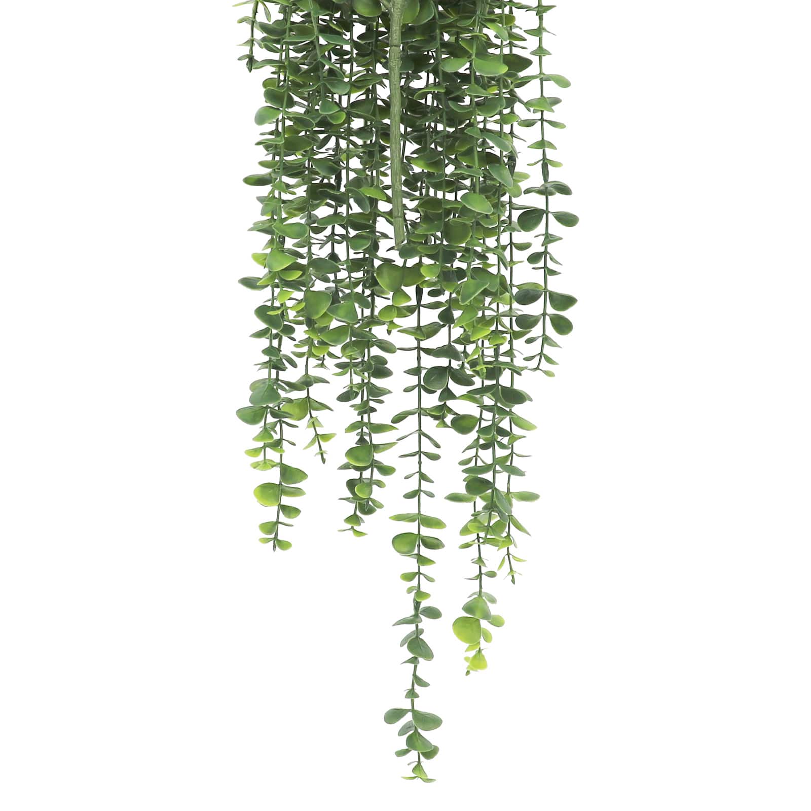 26&#x22; Hanging Eucalyptus Bush by Ashland&#xAE;