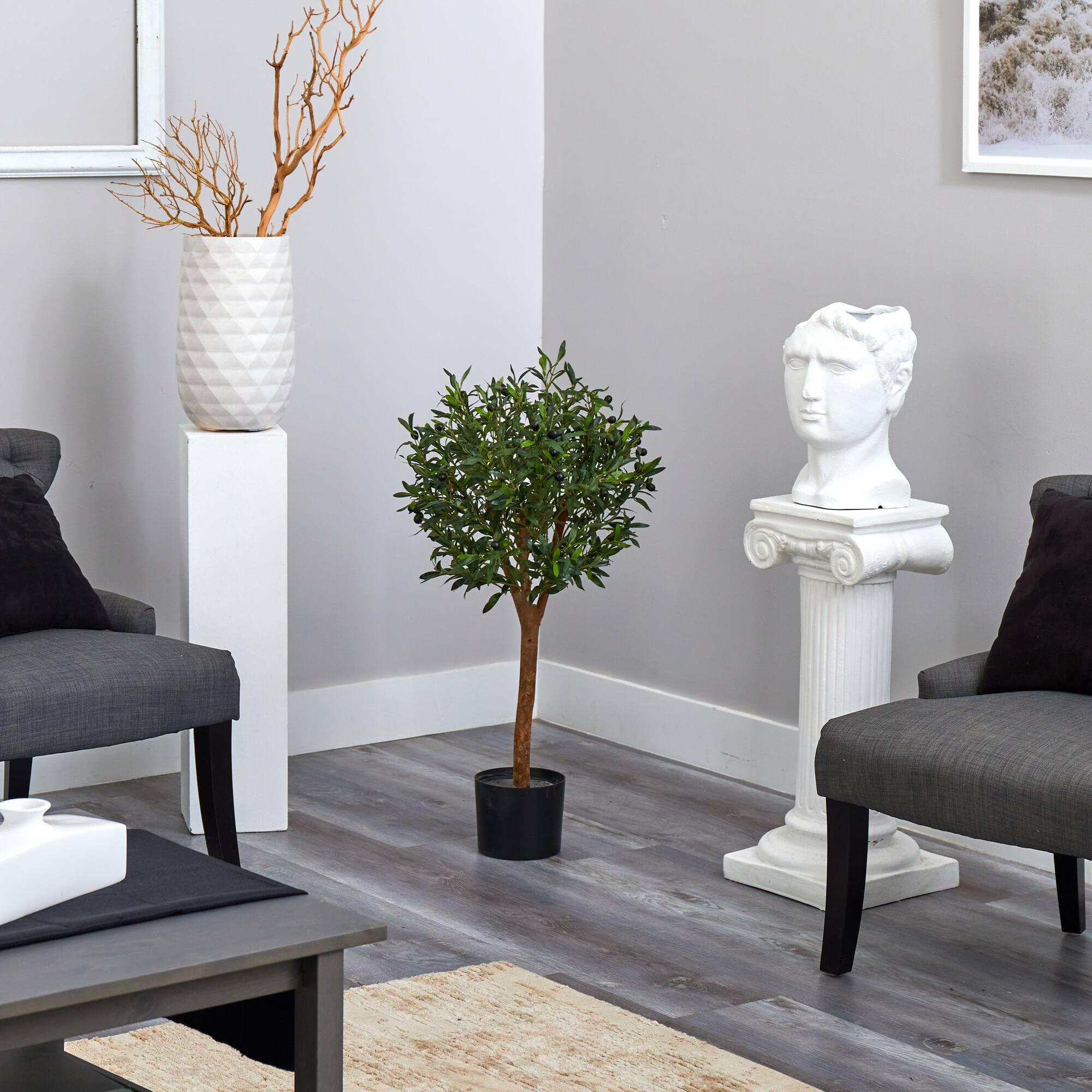 3.5ft. Potted Olive Tree