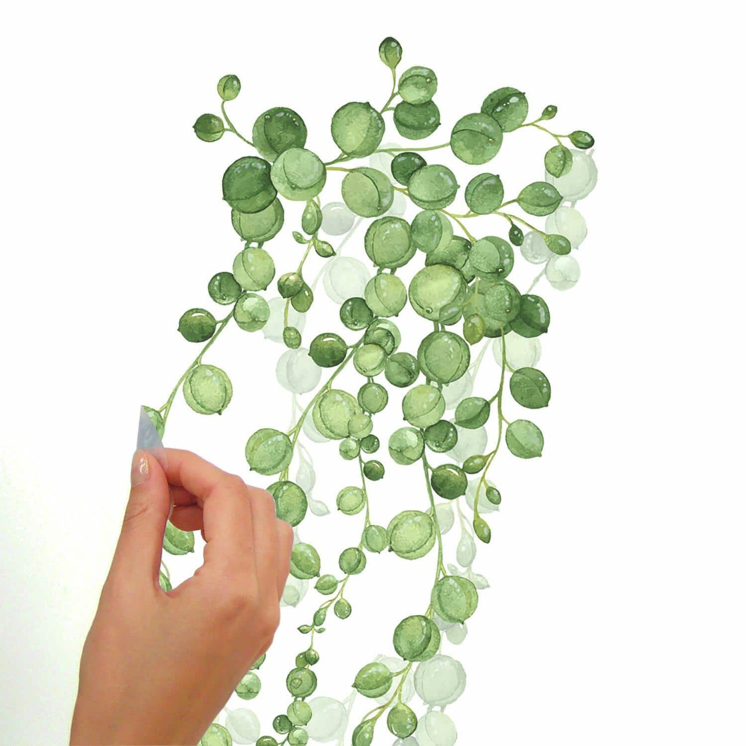 RoomMates String Of Pearls Vine Peel & Stick Wall Decals