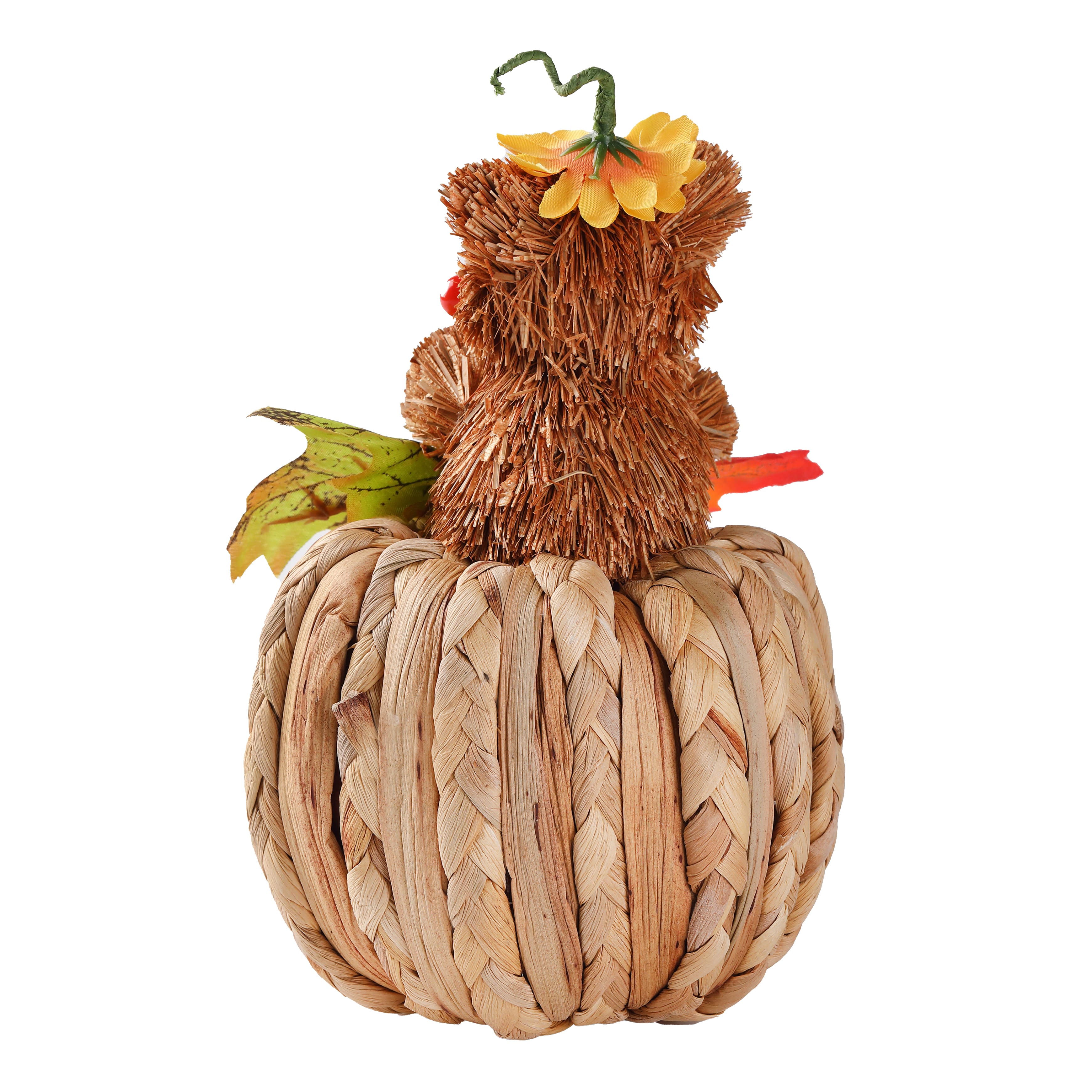 7.5" Raccoon on Pumpkin Natural Décor by Ashland®