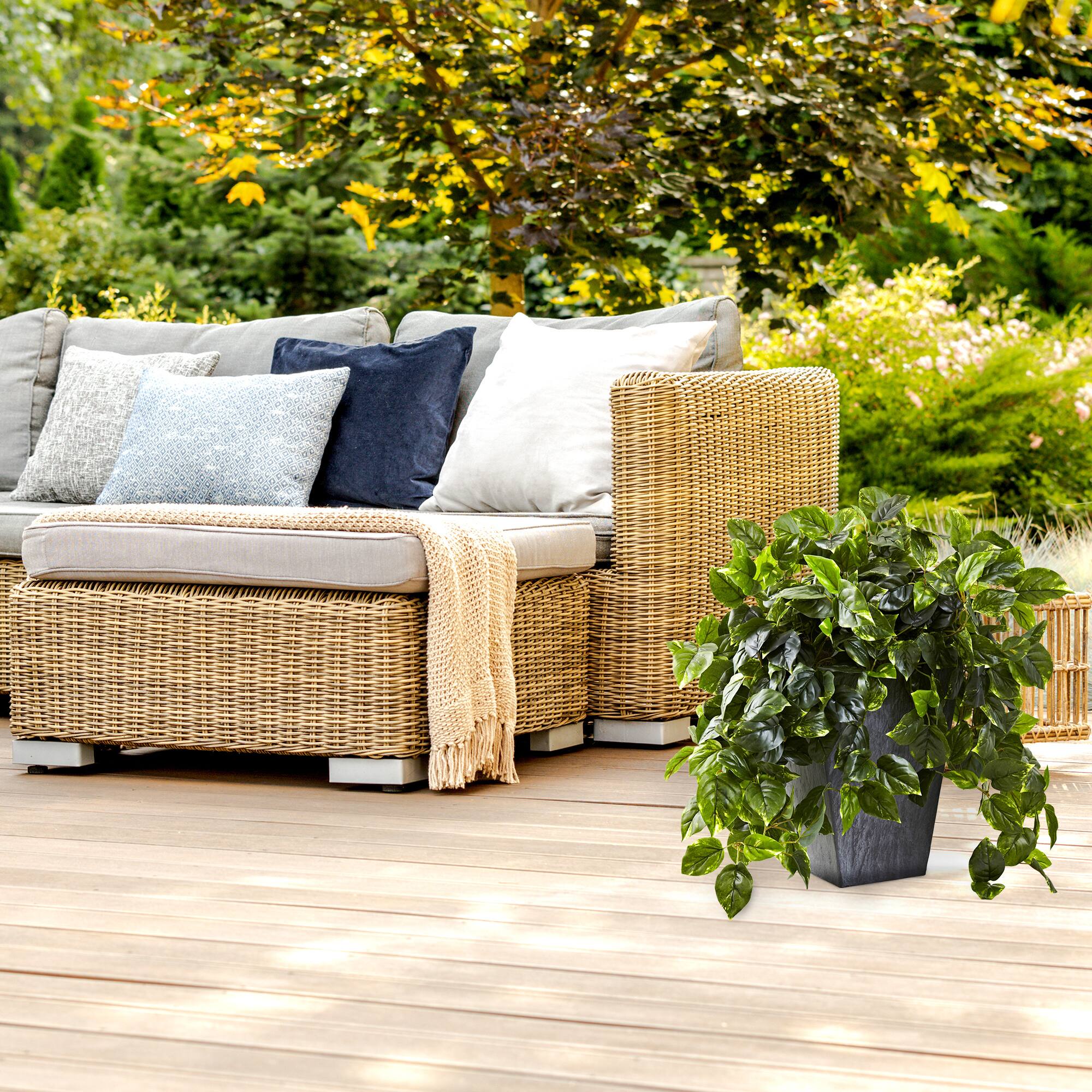 2.5ft. Hanging Pothos with Slate Planter