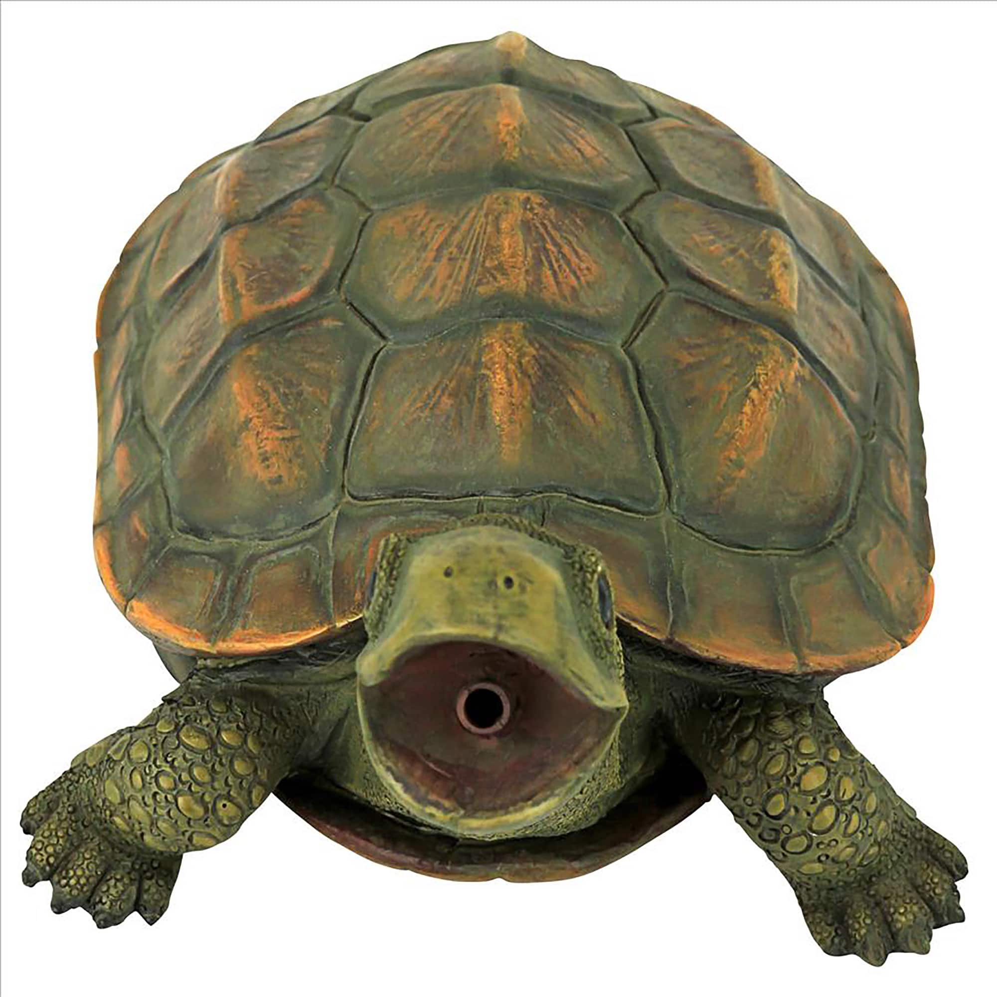 Design Toscano 9.5&#x22; Sprinkle the Turtle Piped Spitter Statue